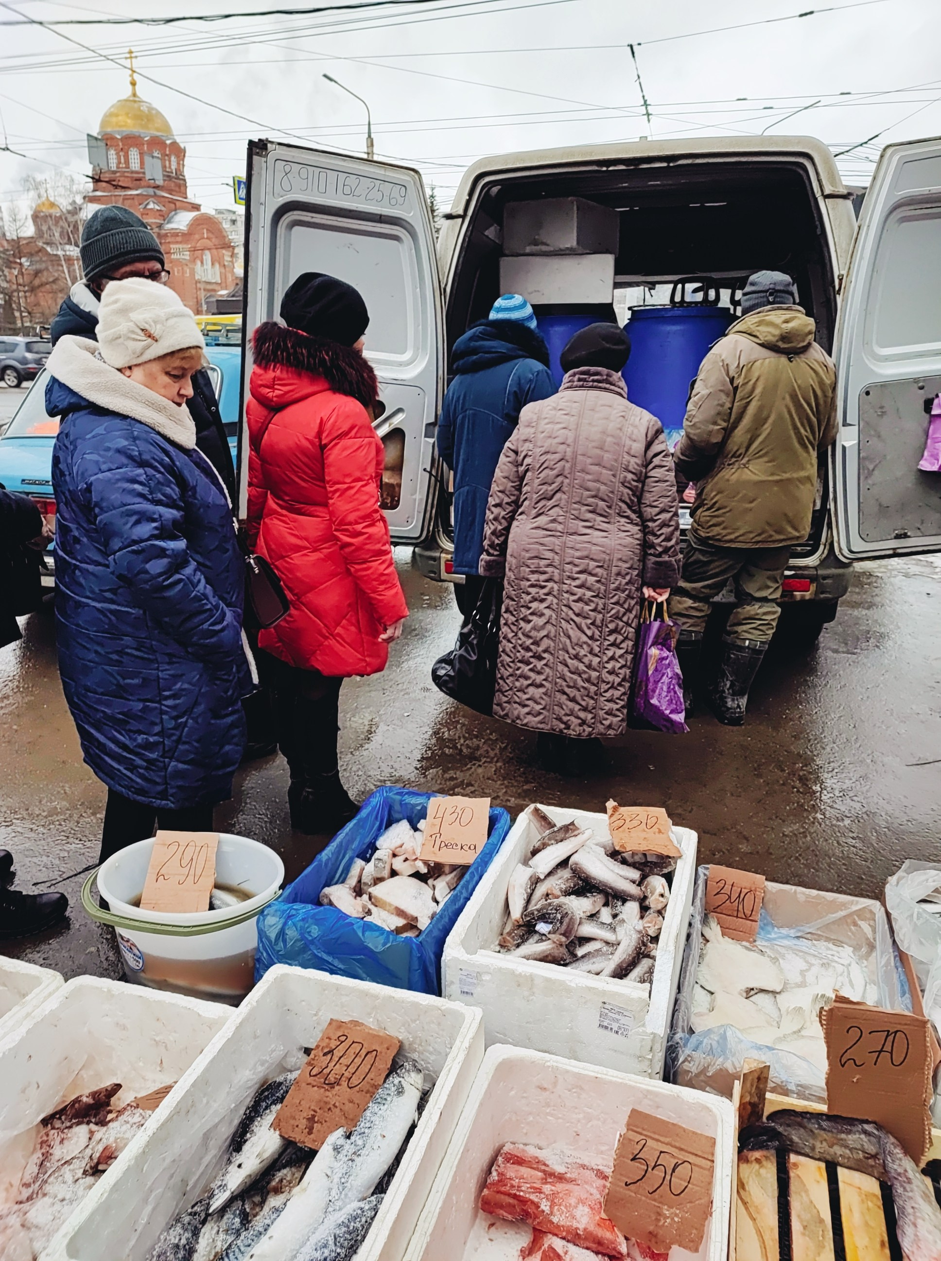 Намобилкус тульский. Репортажный фотограф Алексей Пирязев