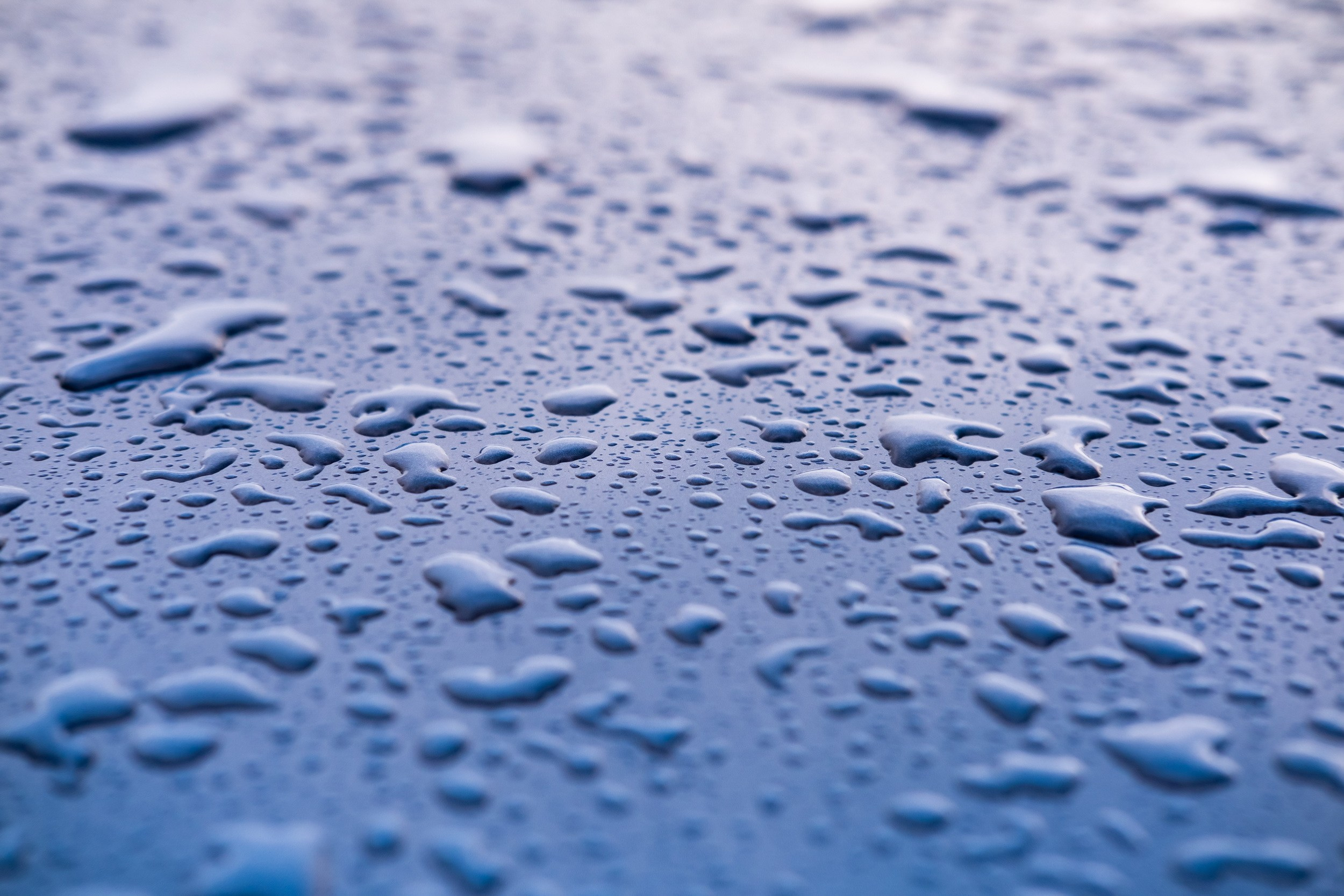 2019. Репортажный фотограф Алексей Пирязев