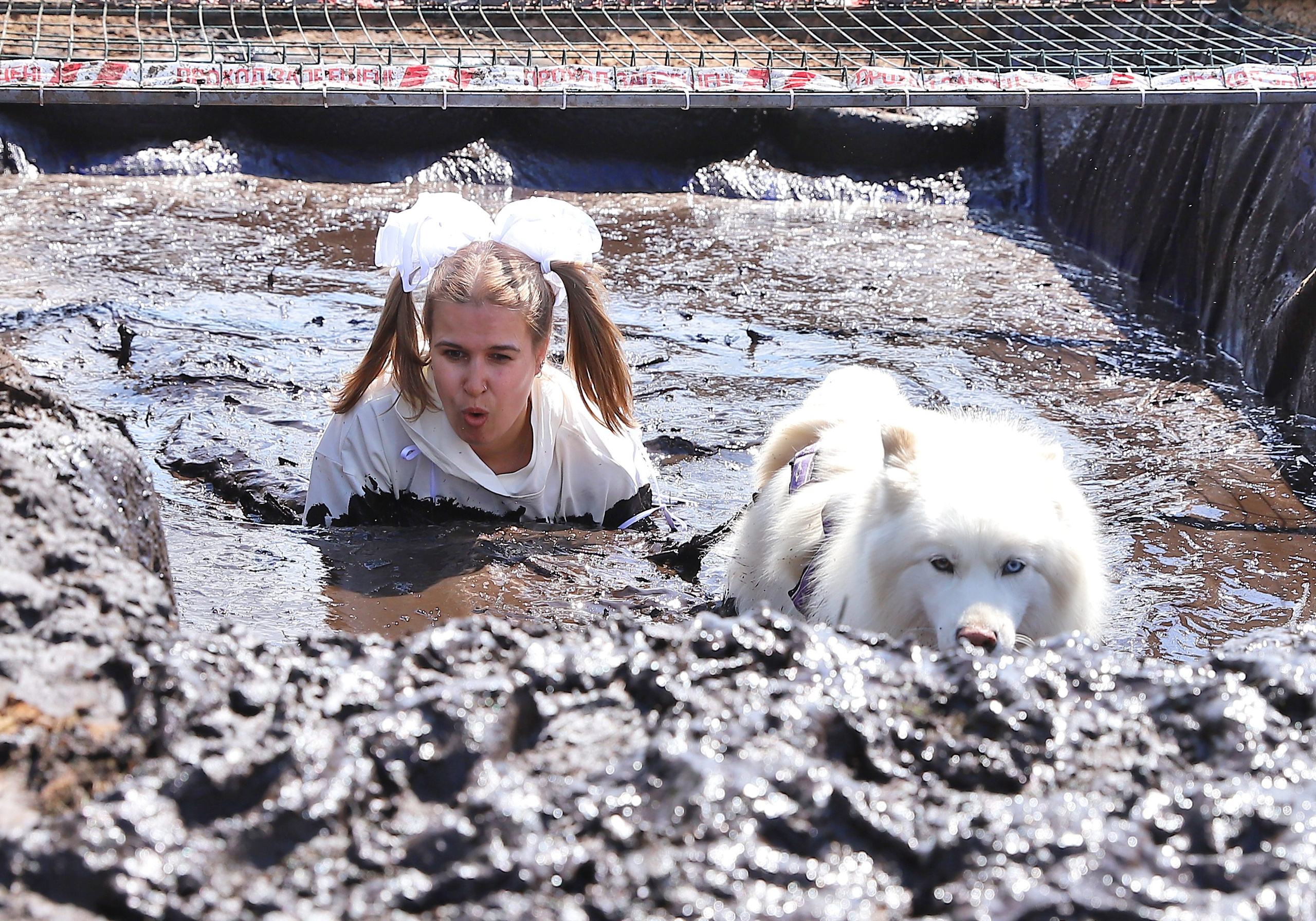 Хвостатый драйв. Семейный и детский фотограф в Москве и МО Елена Москвичева