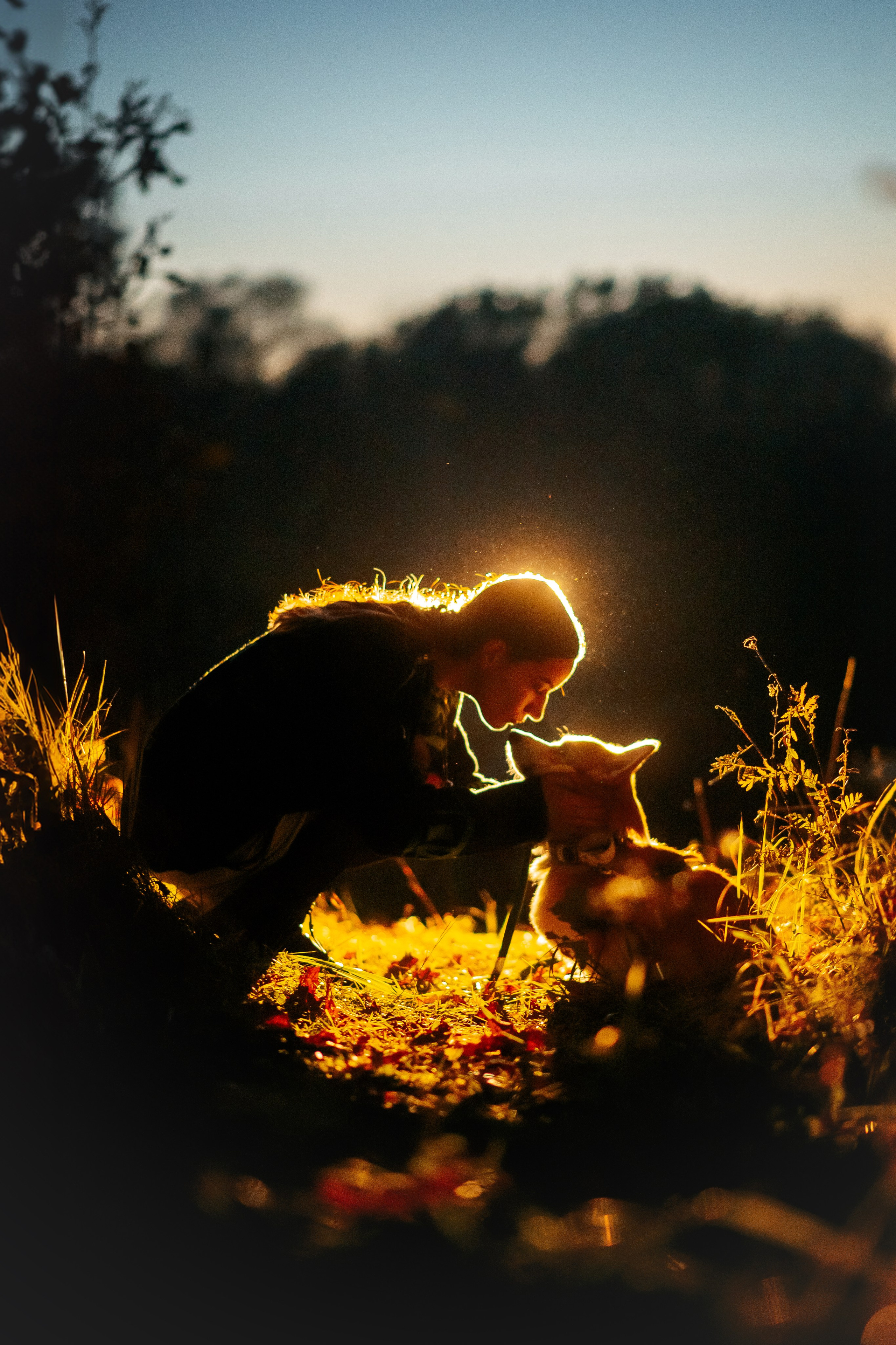 Максим, Надя, Рой и Шелби — 13.10.2024. Фотограф — Анималист | Анна Абрамова