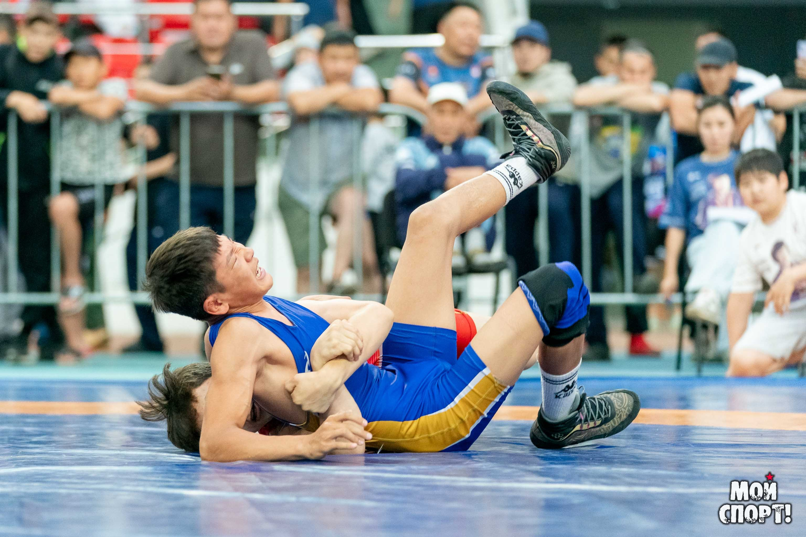 Международный, всероссийский и республиканский турниры по вольной борьбе среди юношей в честь П. П. Пинигина. Студия «Мой Спорт!» — все о спорте в Якутии