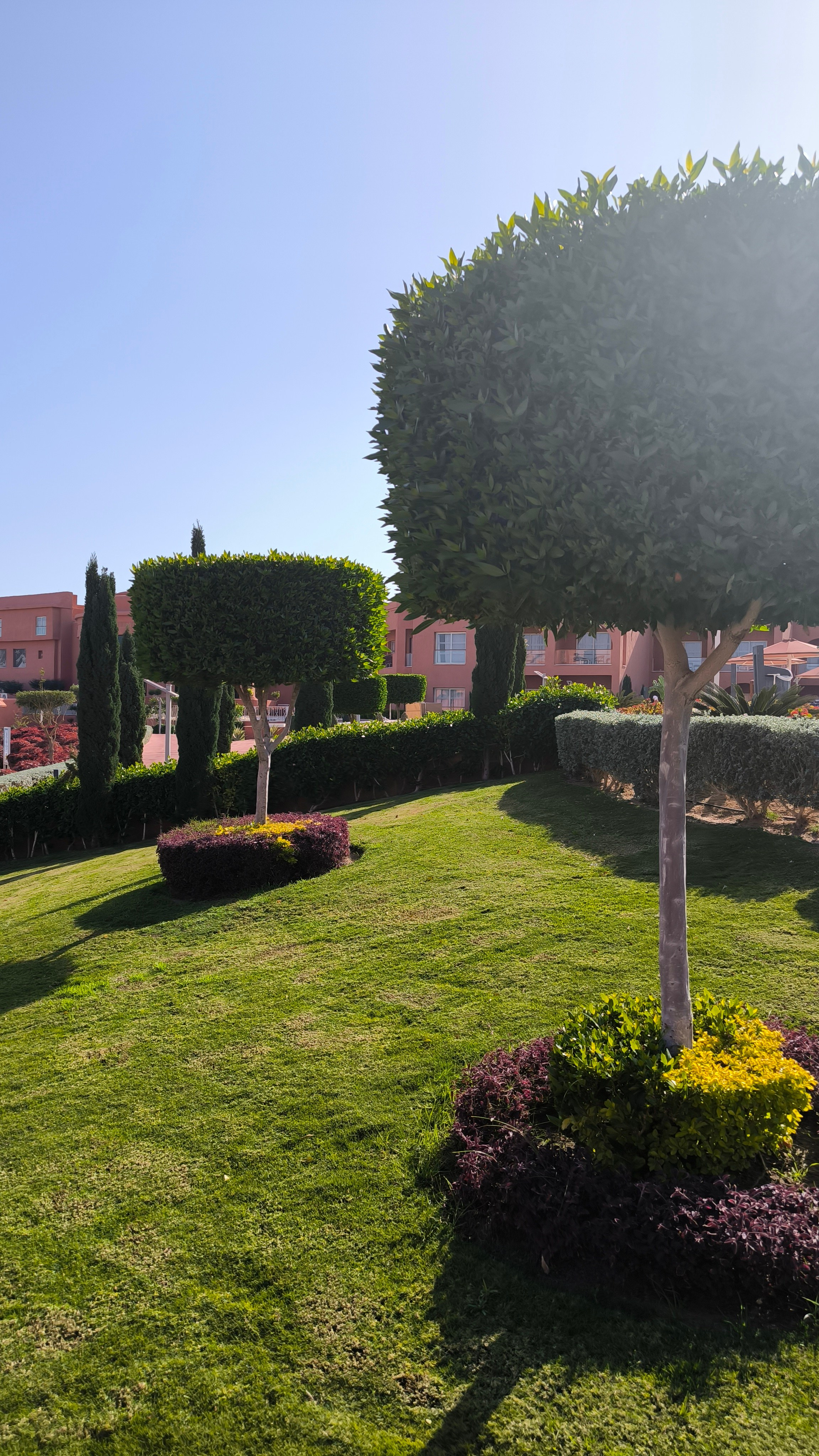 Шарм-Эль-Шейх. Светлана Иванова - профессиональный фотограф