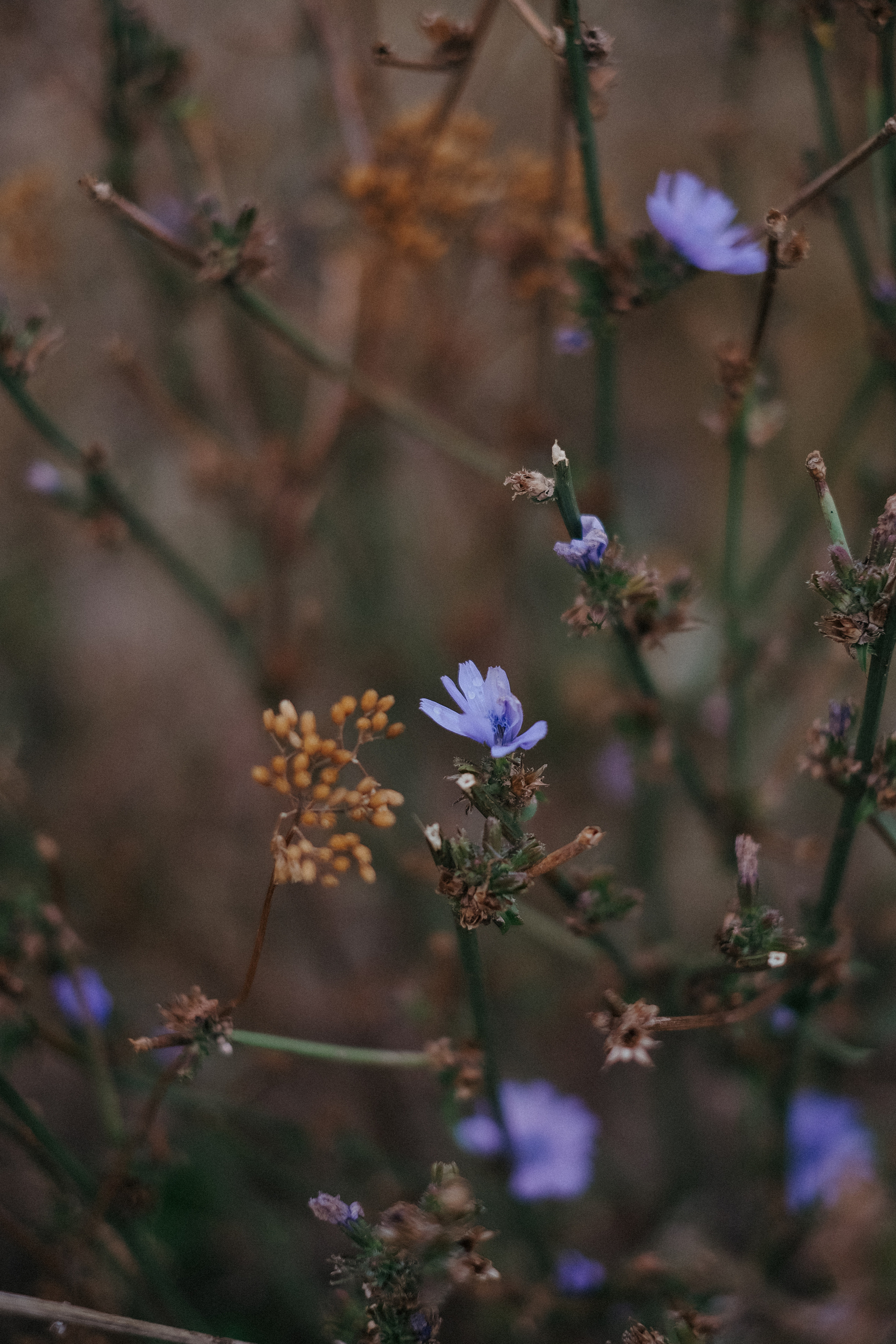 Тембулат + Мария. Андрющенко Мария фотограф Волгоград