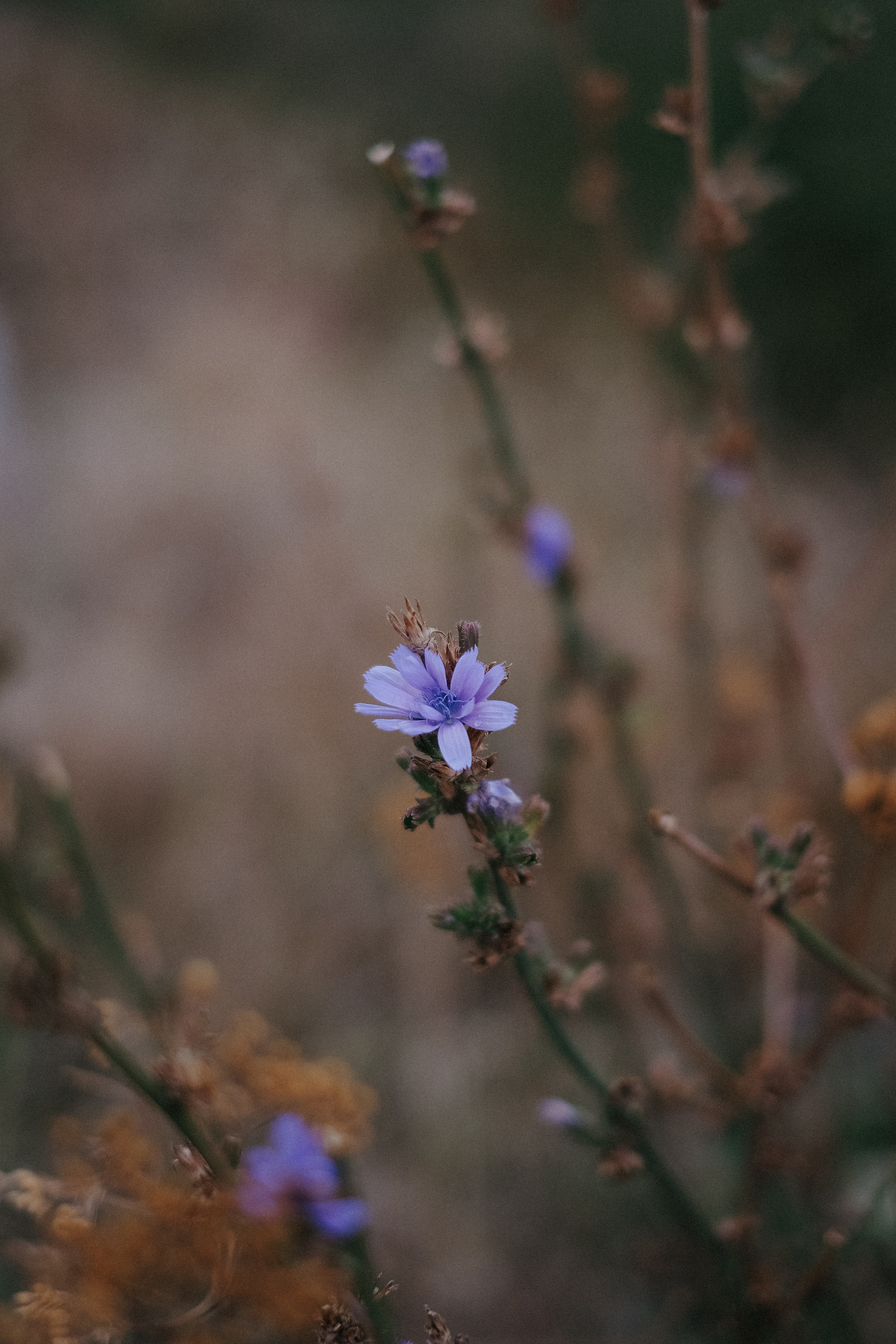 Тембулат + Мария. Андрющенко Мария фотограф Волгоград