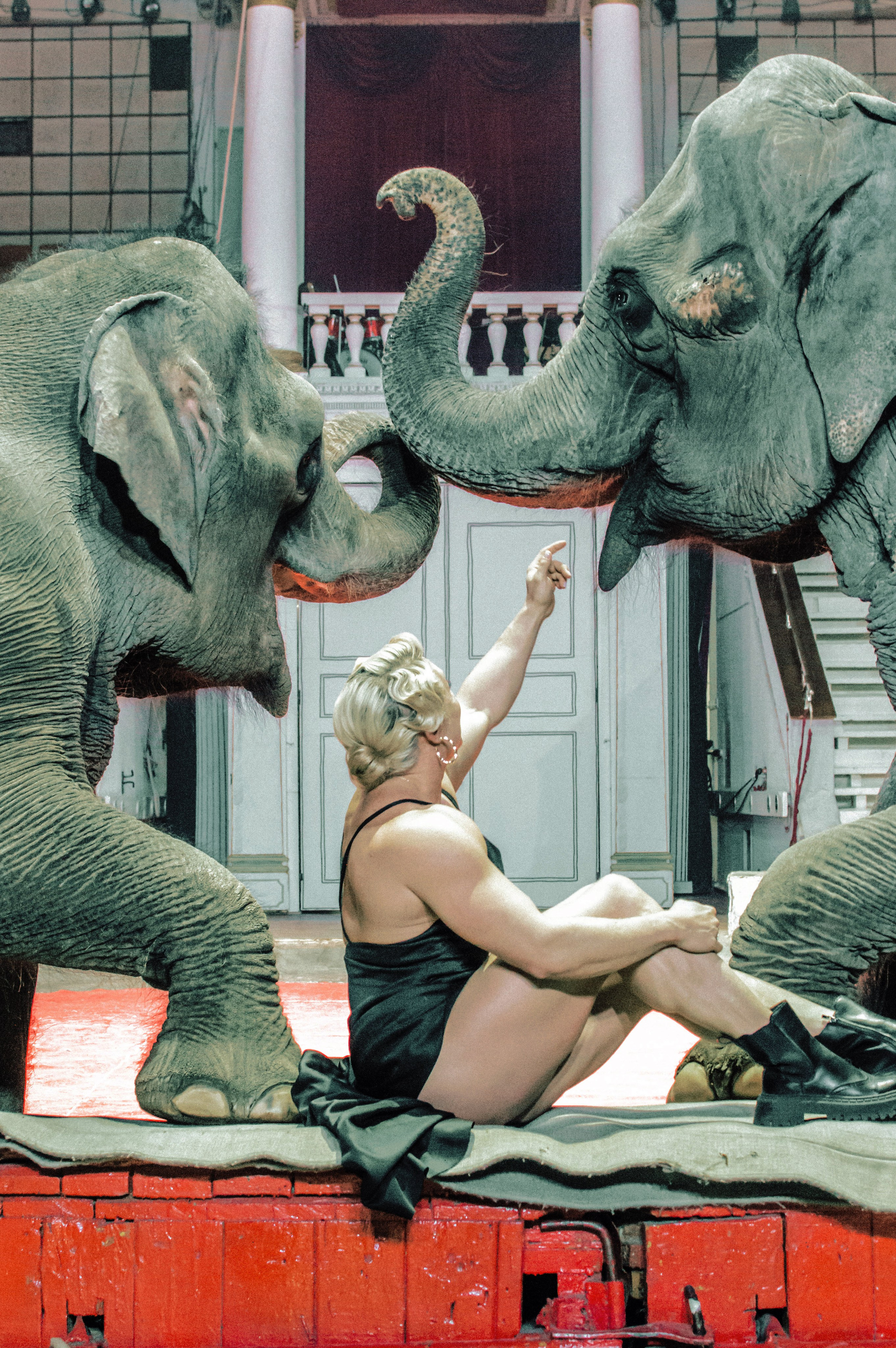 Екатерина. Главная