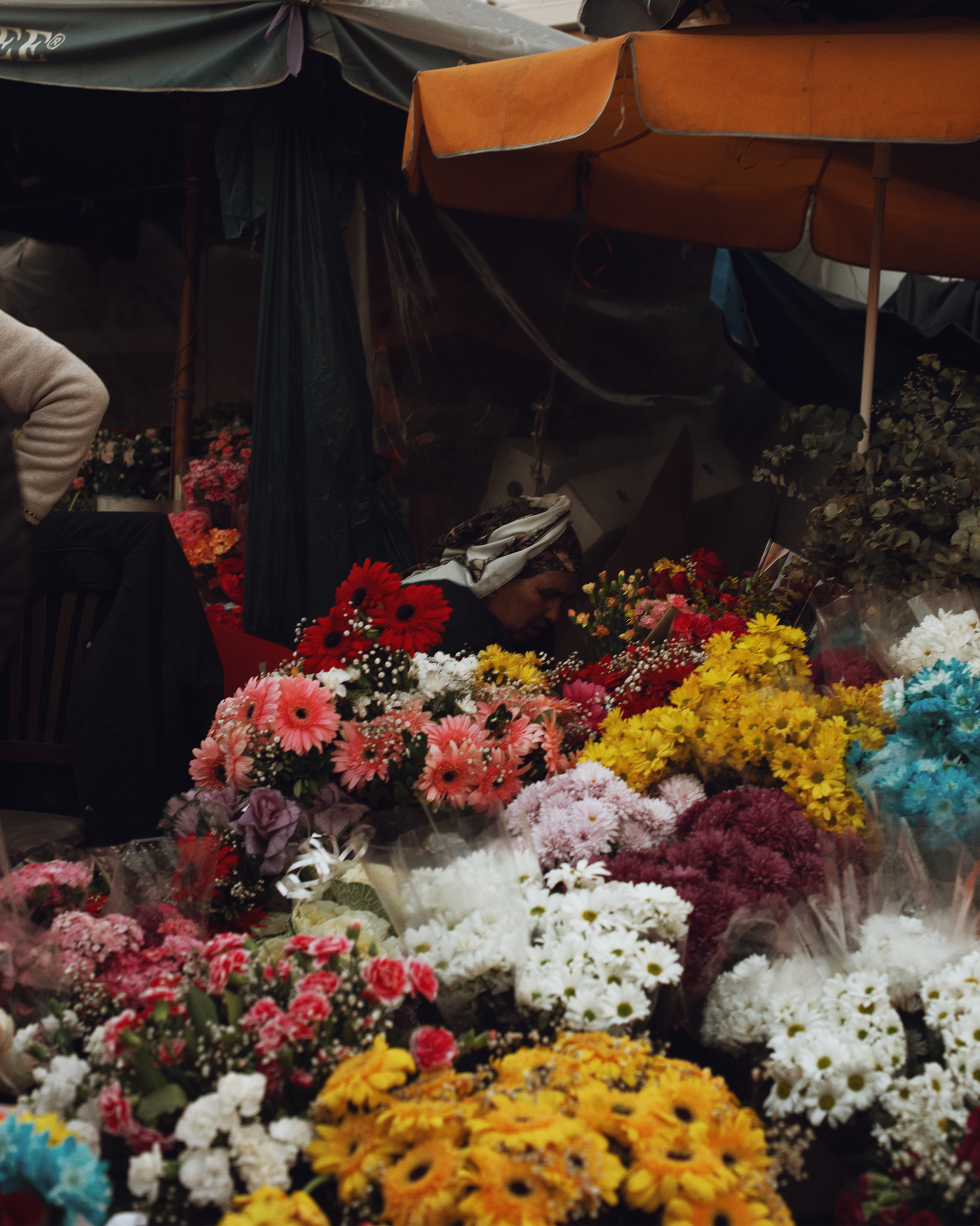 Путешествие по Стамбулу: истории в каждом кадре. Коммерческий и предметный фотограф в Гуанчжоу Коваленко Александр