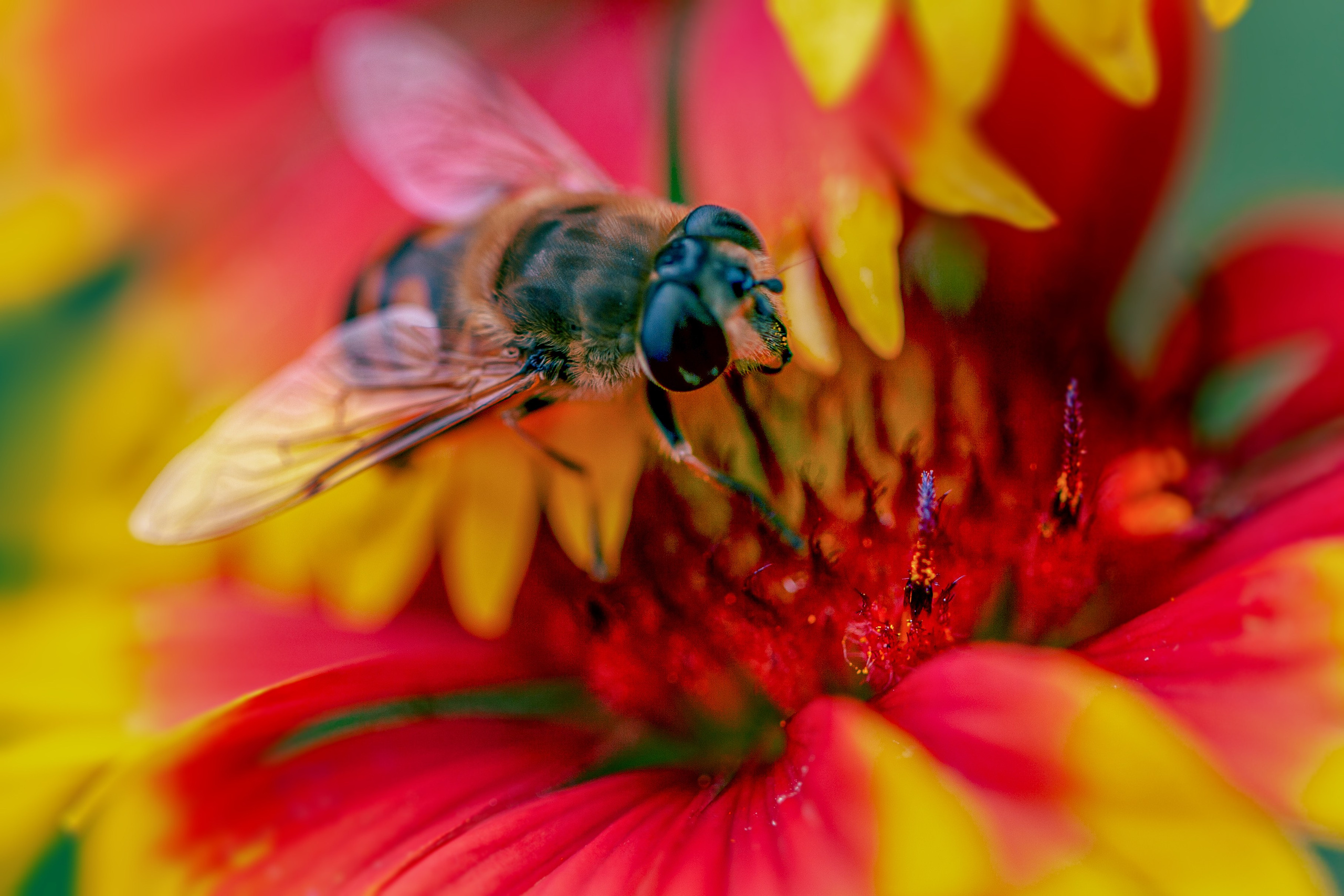Красота вокруг нас. Медиапродюсер, фотограф в Минеральных Водах —Виктор Холодов