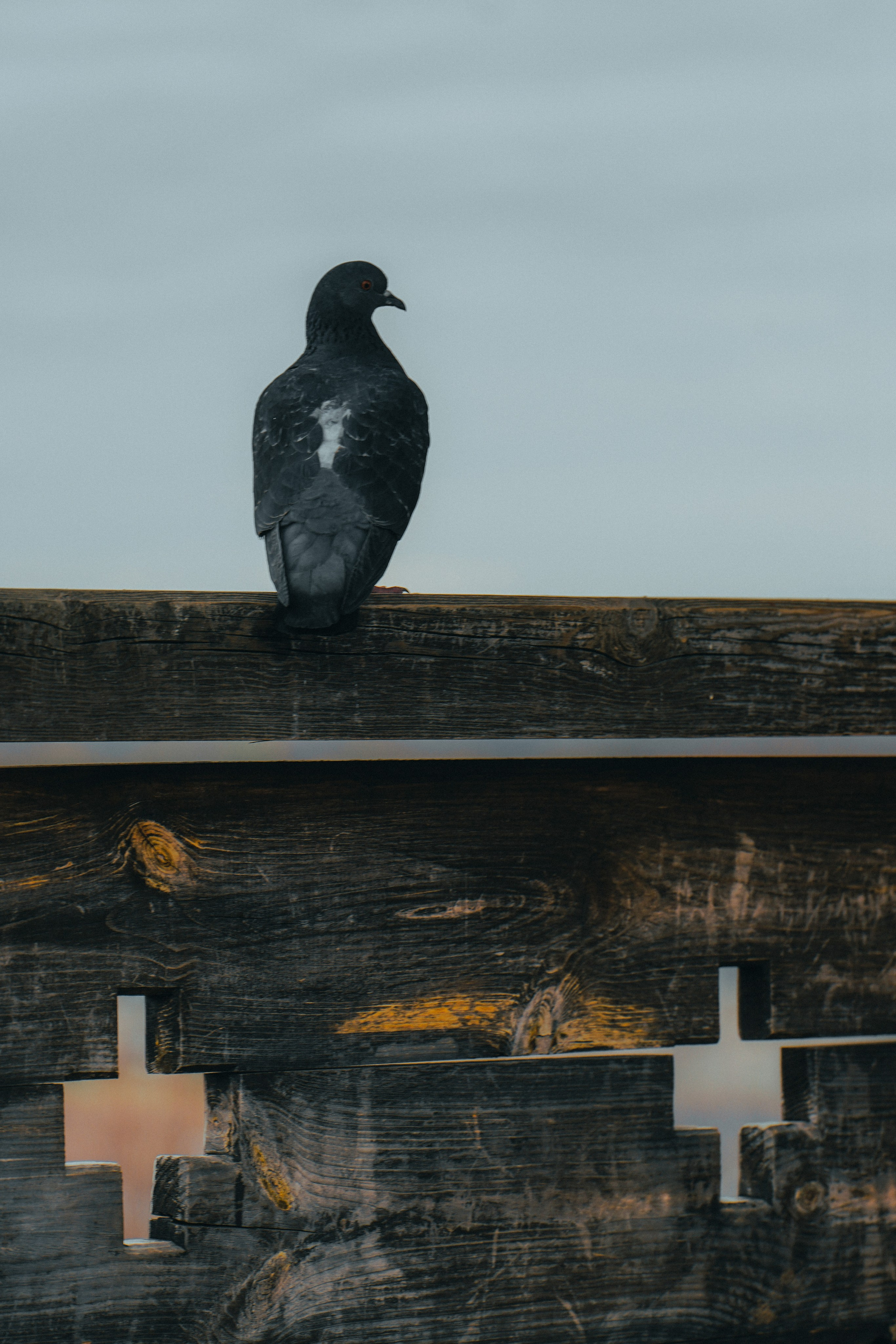 Плёс, Апрель 2022