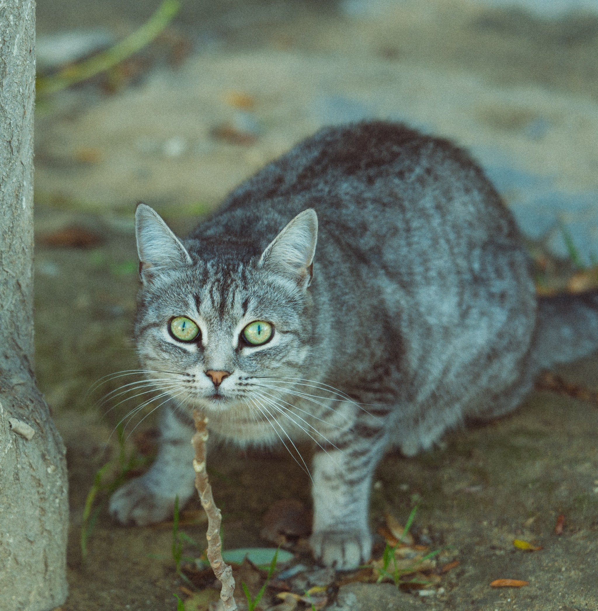 Актау, Ноябрь 2024