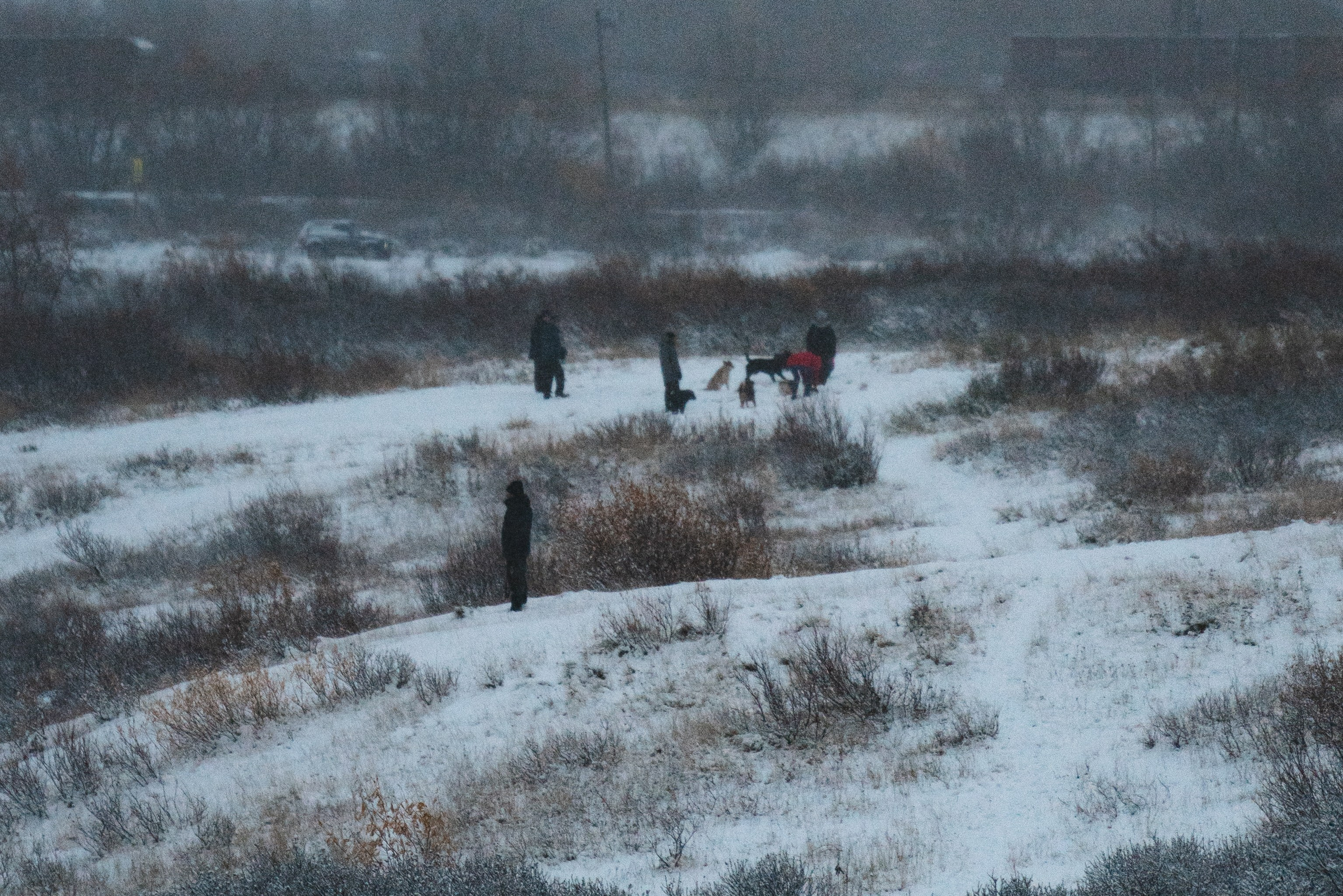 Воркута, Октябрь 2024