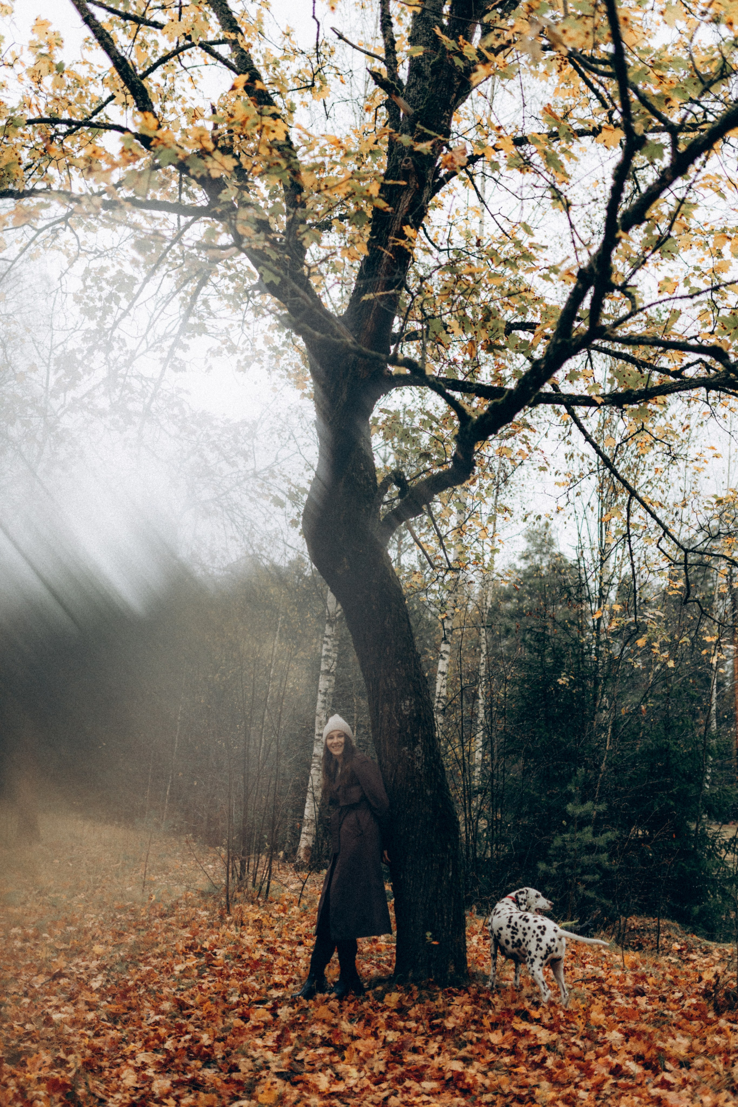 Анфиса & Нисма. Фотограф НОГИНСК, Москва, Анастасия Белая