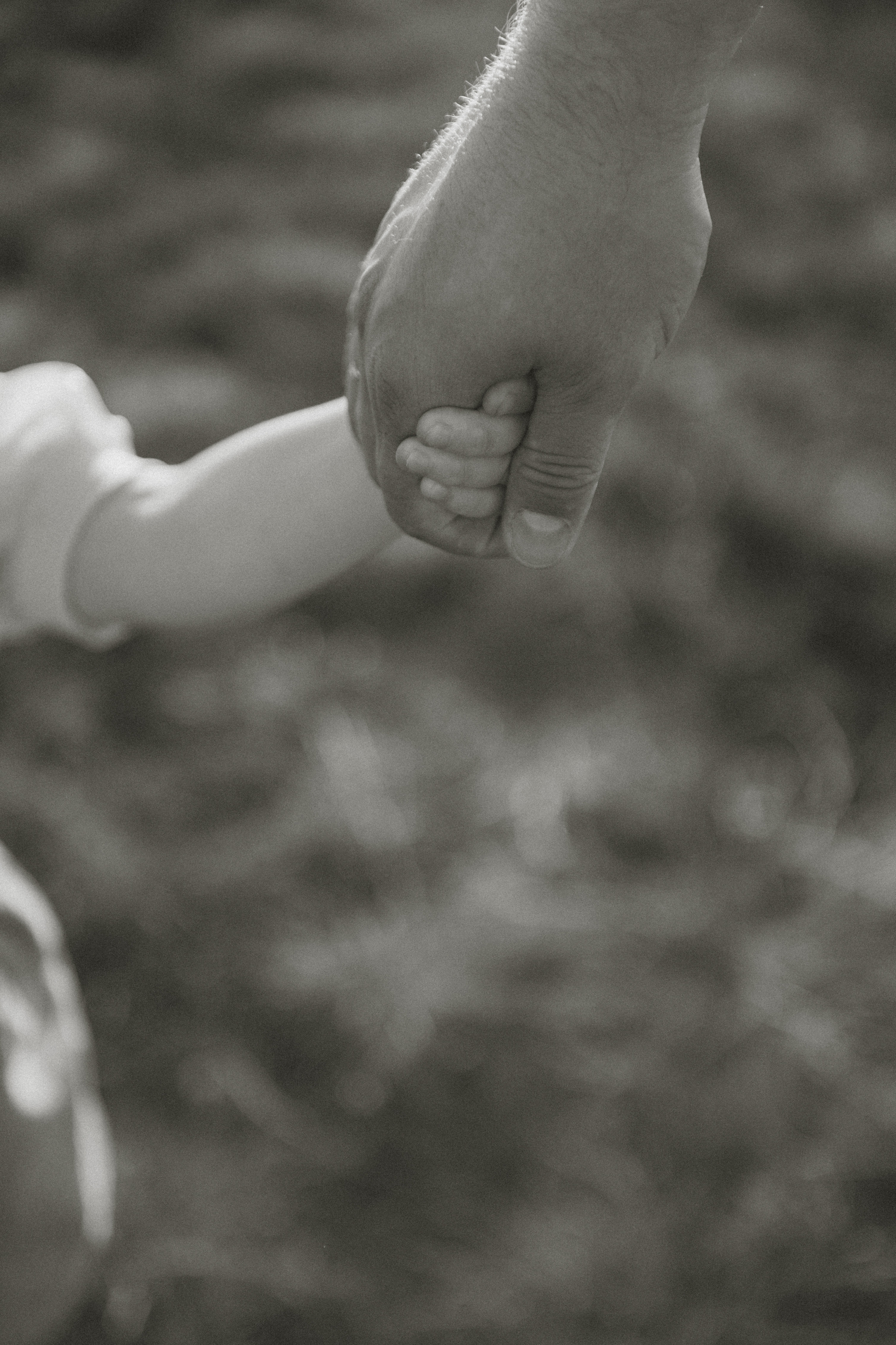 Семейные фотографии. Фотограф в Барнауле Дарья Бутурлакина. Люби.Цени.Касайся