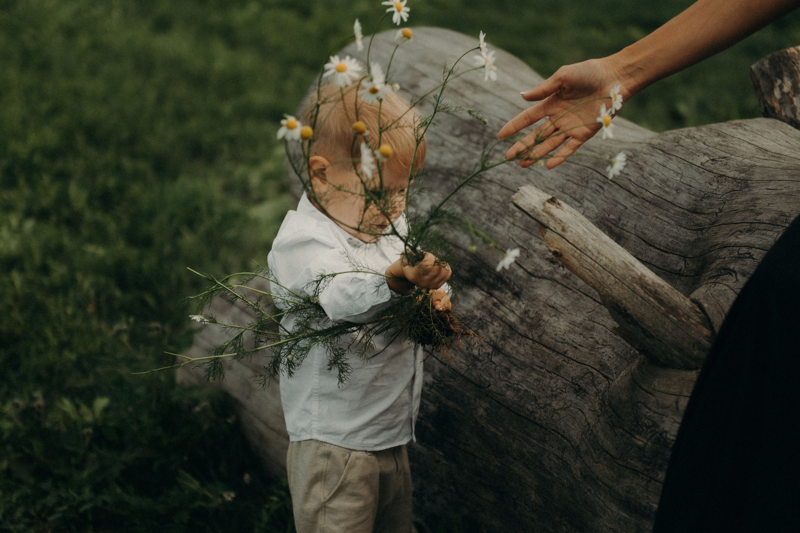 Семейные фотографии. Фотограф в Барнауле Дарья Бутурлакина. Люби.Цени.Касайся