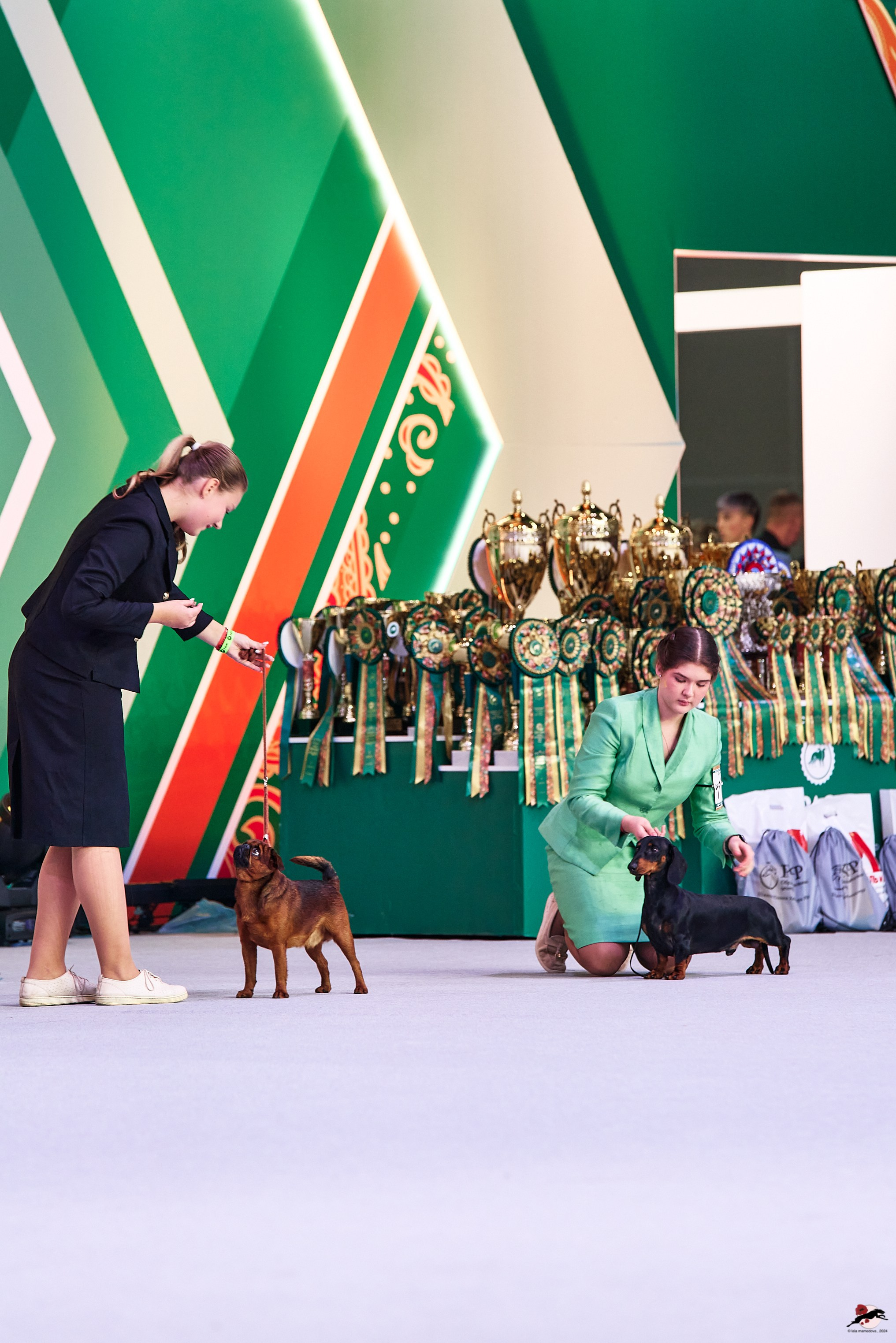 16.11.2024 «ЕВРАЗИЯ. КУБОК ПРЕЗИДЕНТА РКФ 2024»