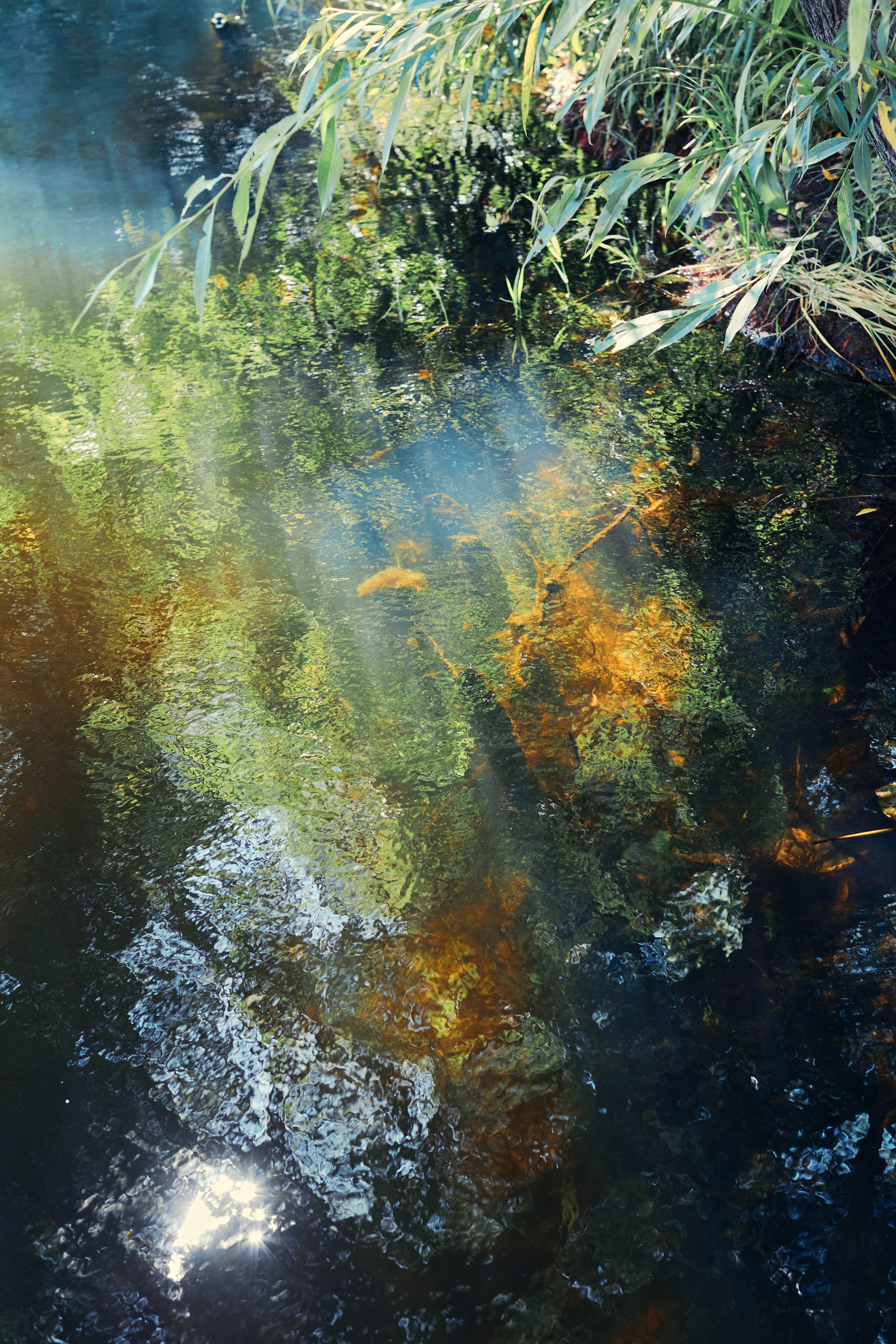 Фотограф Анастасия Губернаторова