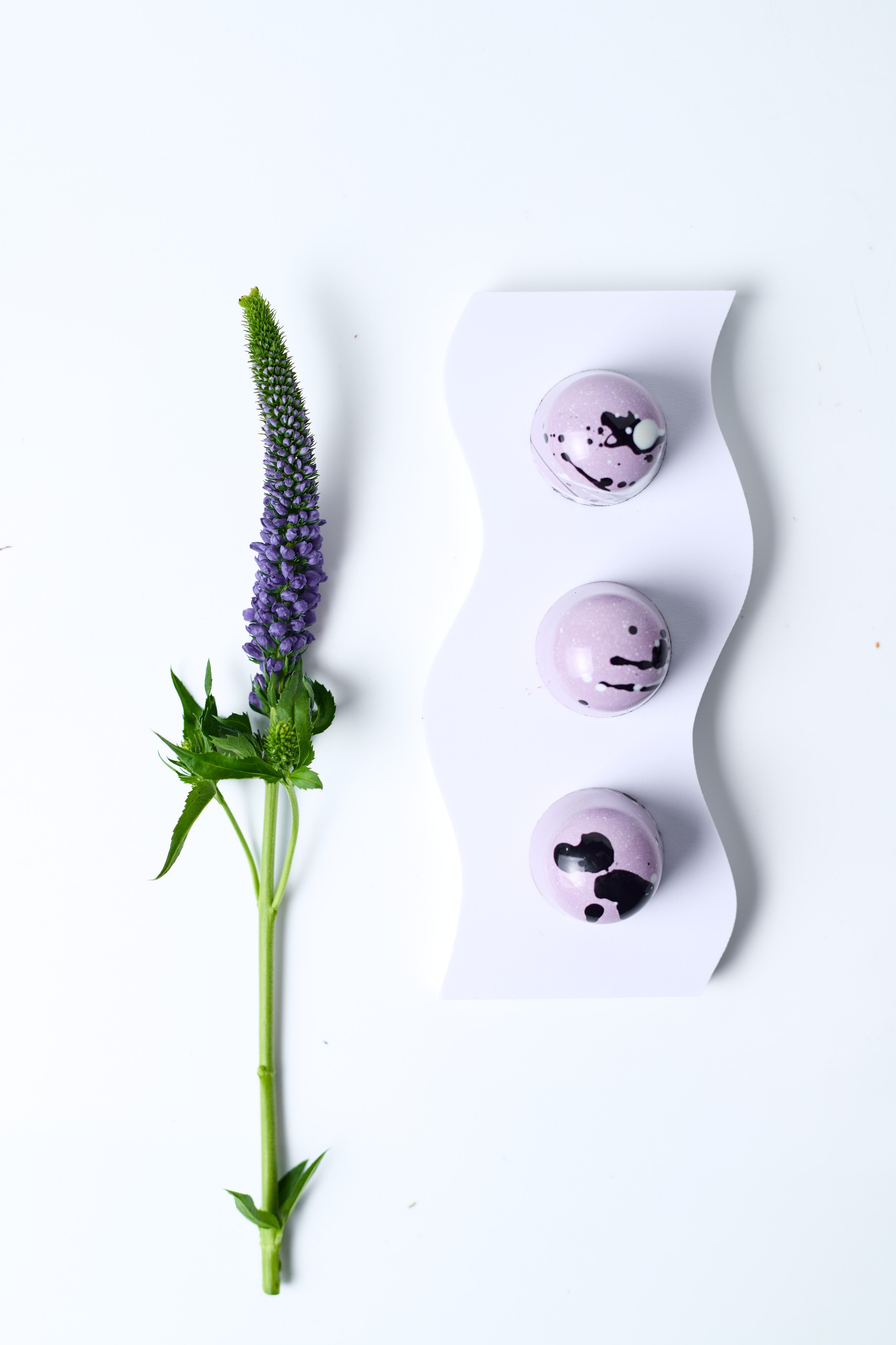 My Sweet Zen. Фотограф|Москва-СПб| Анастасия Рябинина