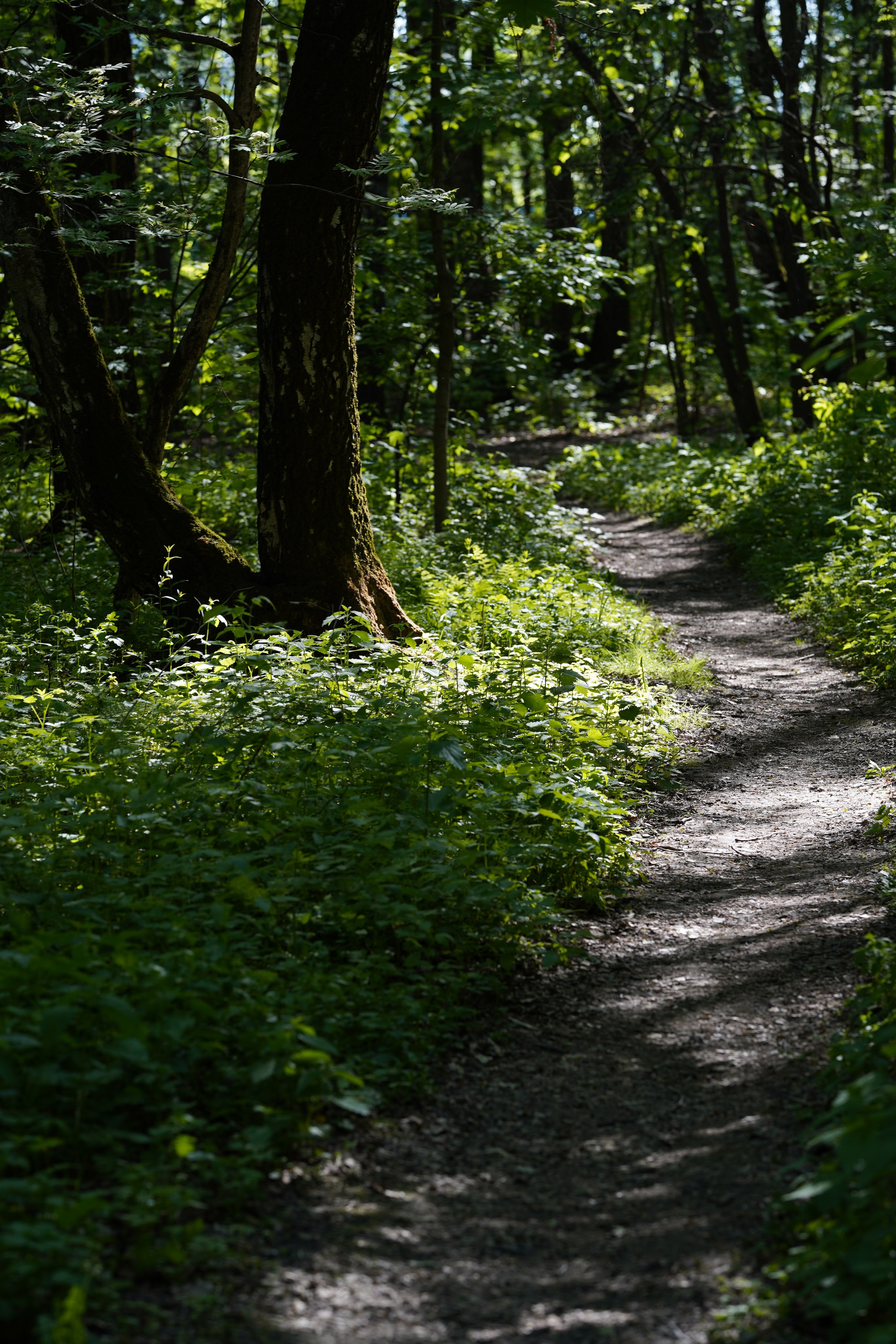 Природа. Фотограф в Москве Мария ~Zagagul~