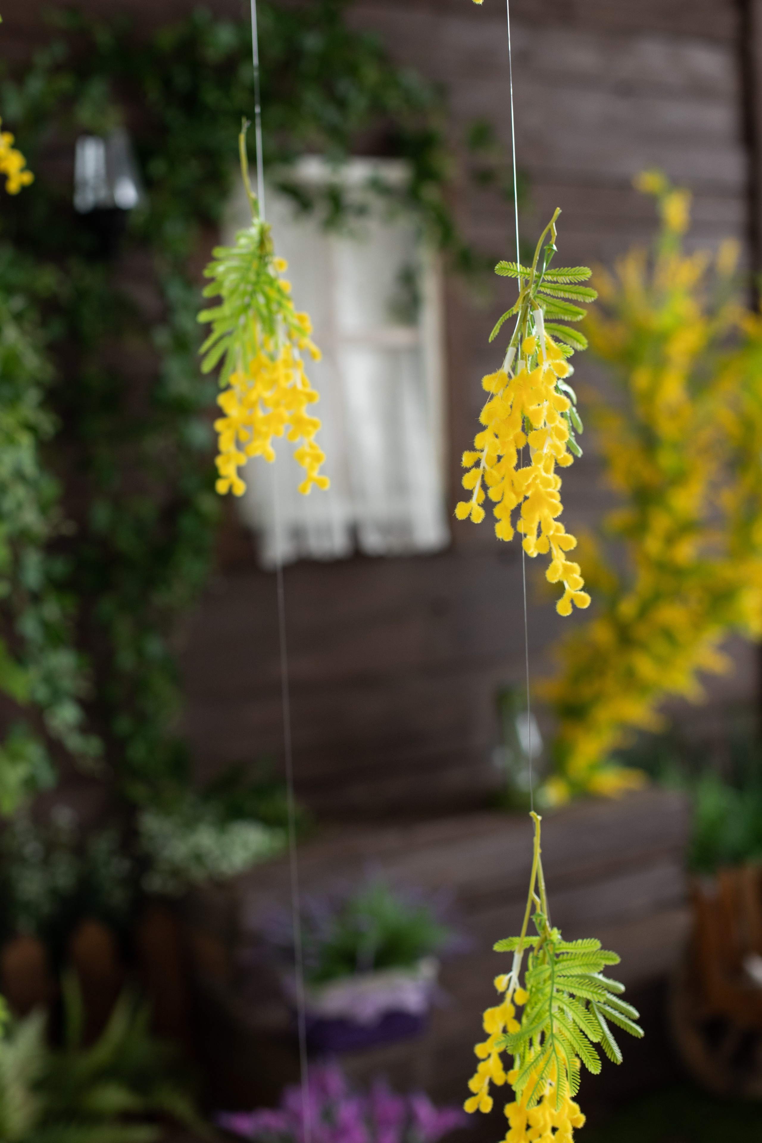 Буфет (студия Зеркало). Фотограф г. Хабаровск. Семейные и индивидуальные съёмки