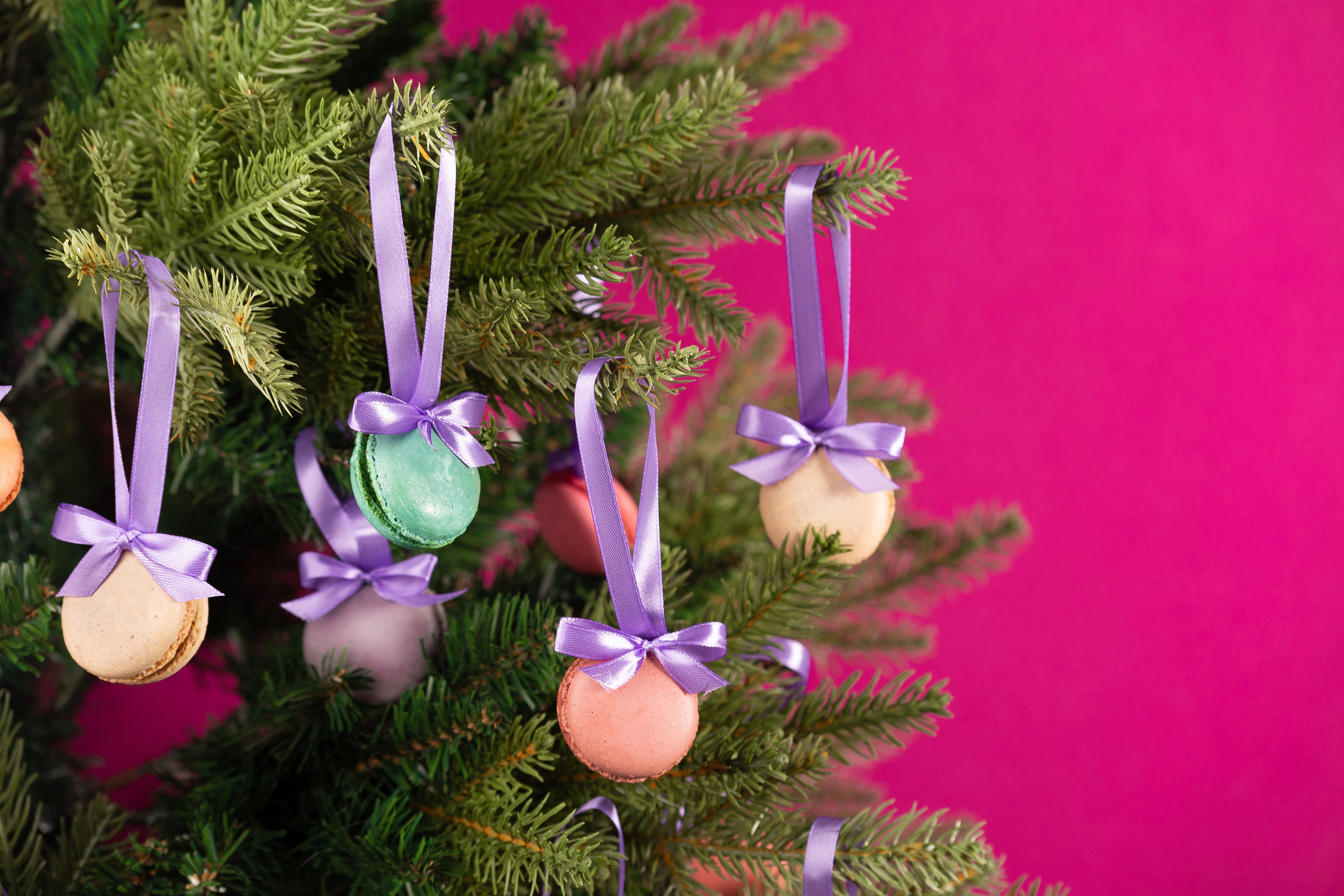 Портфолио. Фотограф в Алматы Велиляева Алена