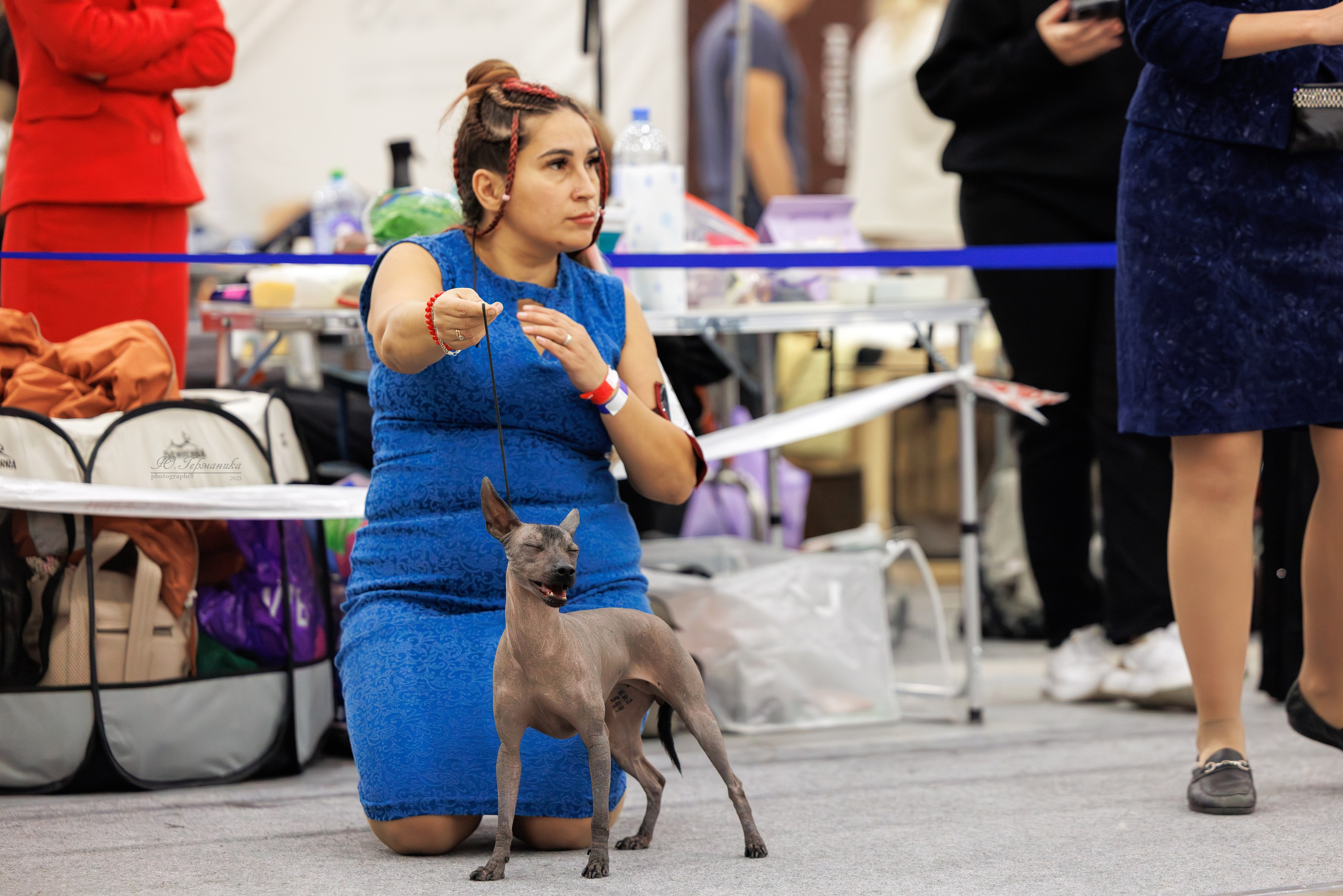 Питер 12-13.12.2025. Фотограф-анималист Юлия Германика