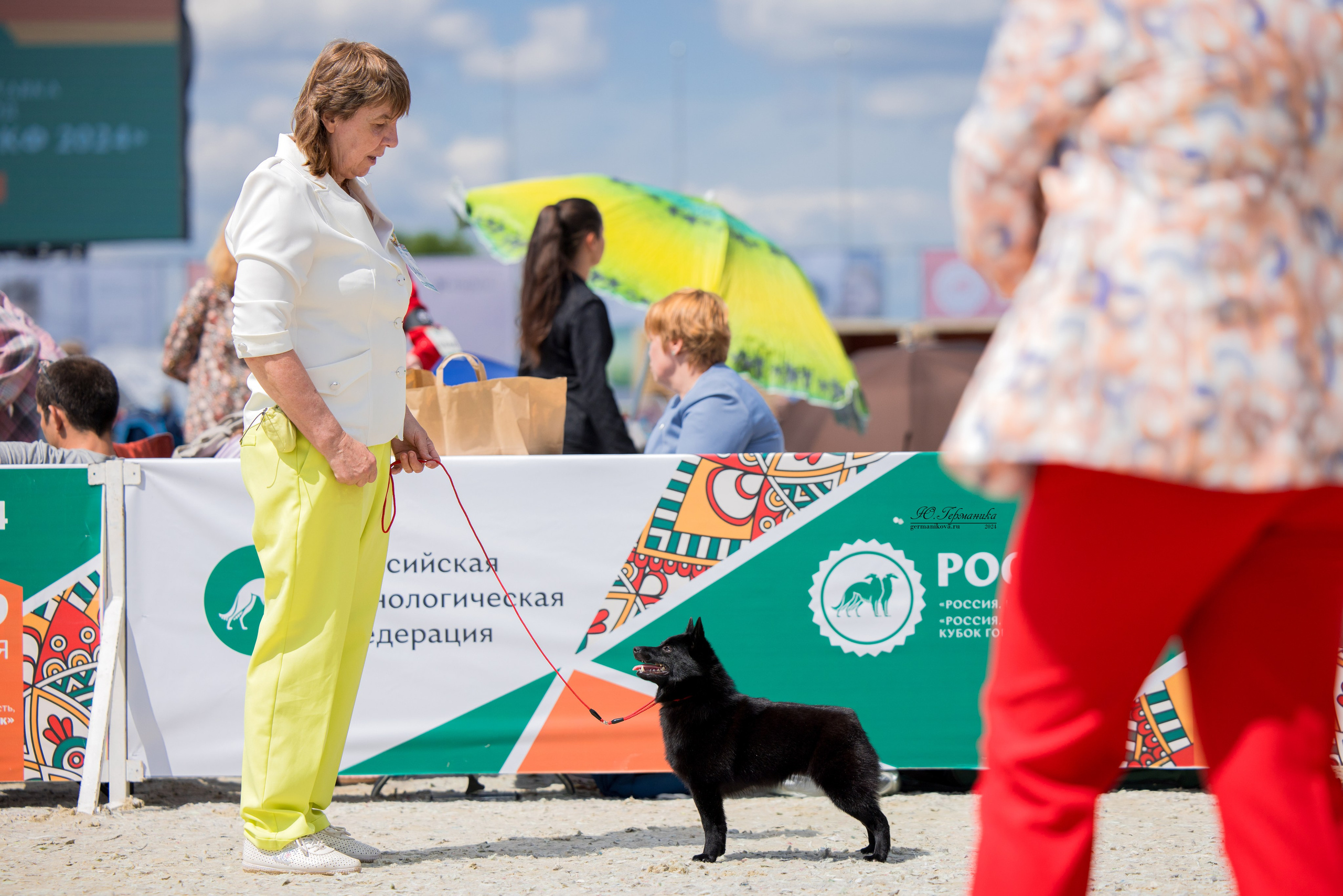 РОССИЯ 8-9.06.2024. Фотограф-анималист Юлия Германика