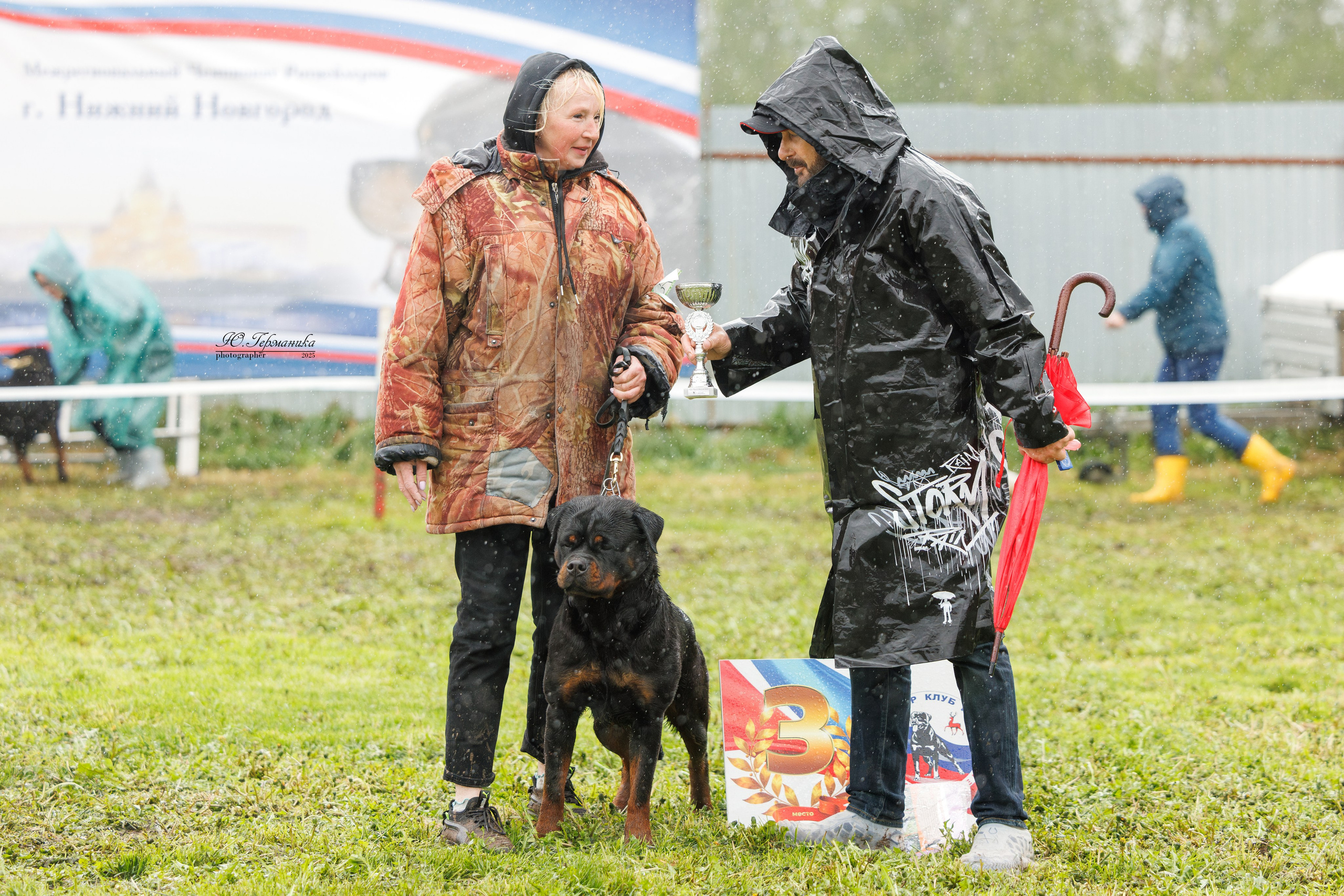 Нижний Новгород 2хмоно ротвейлеров 10-11.05.2025. Фотограф-анималист Юлия Германика