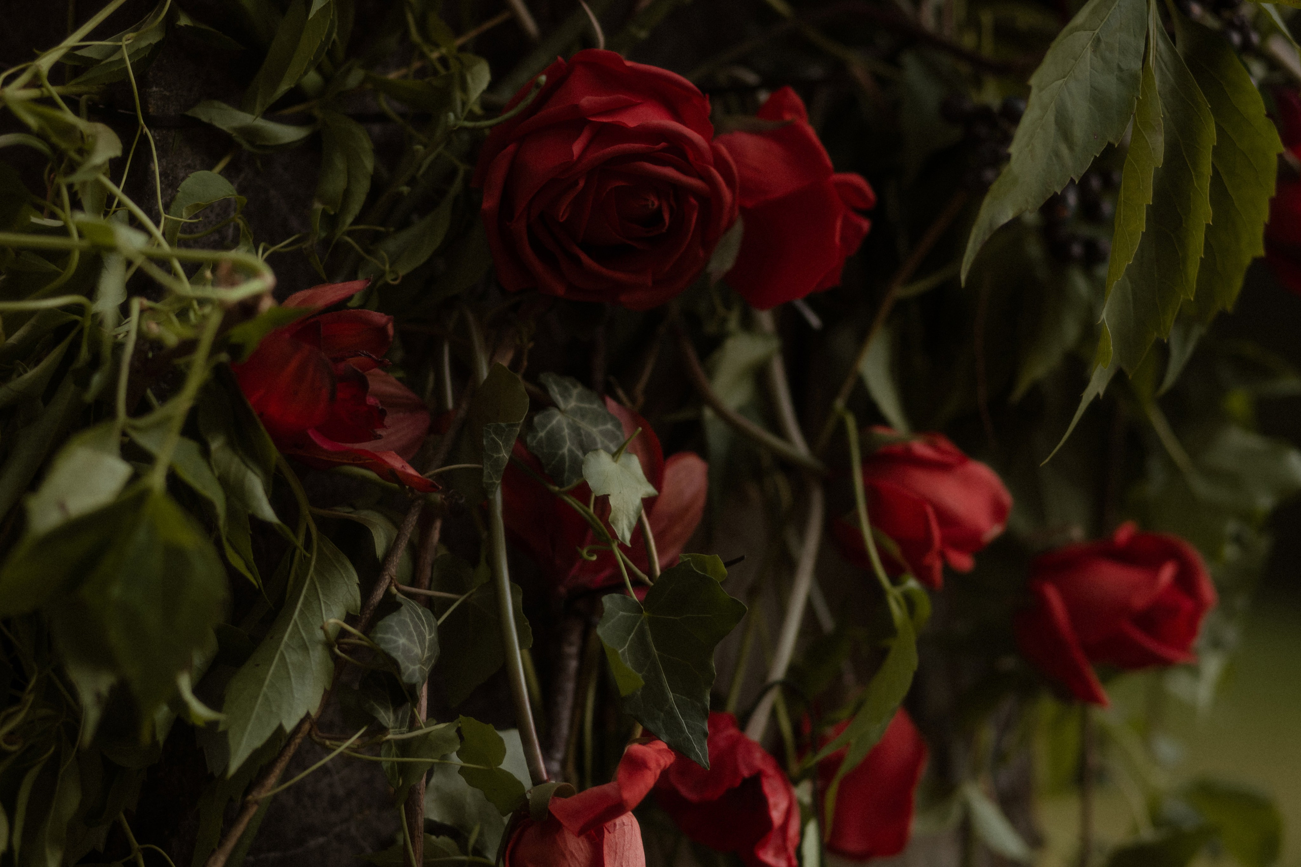 Yan & Polina. Part II: Nobody knows it but me. Фотограф Лия Козловская Минск