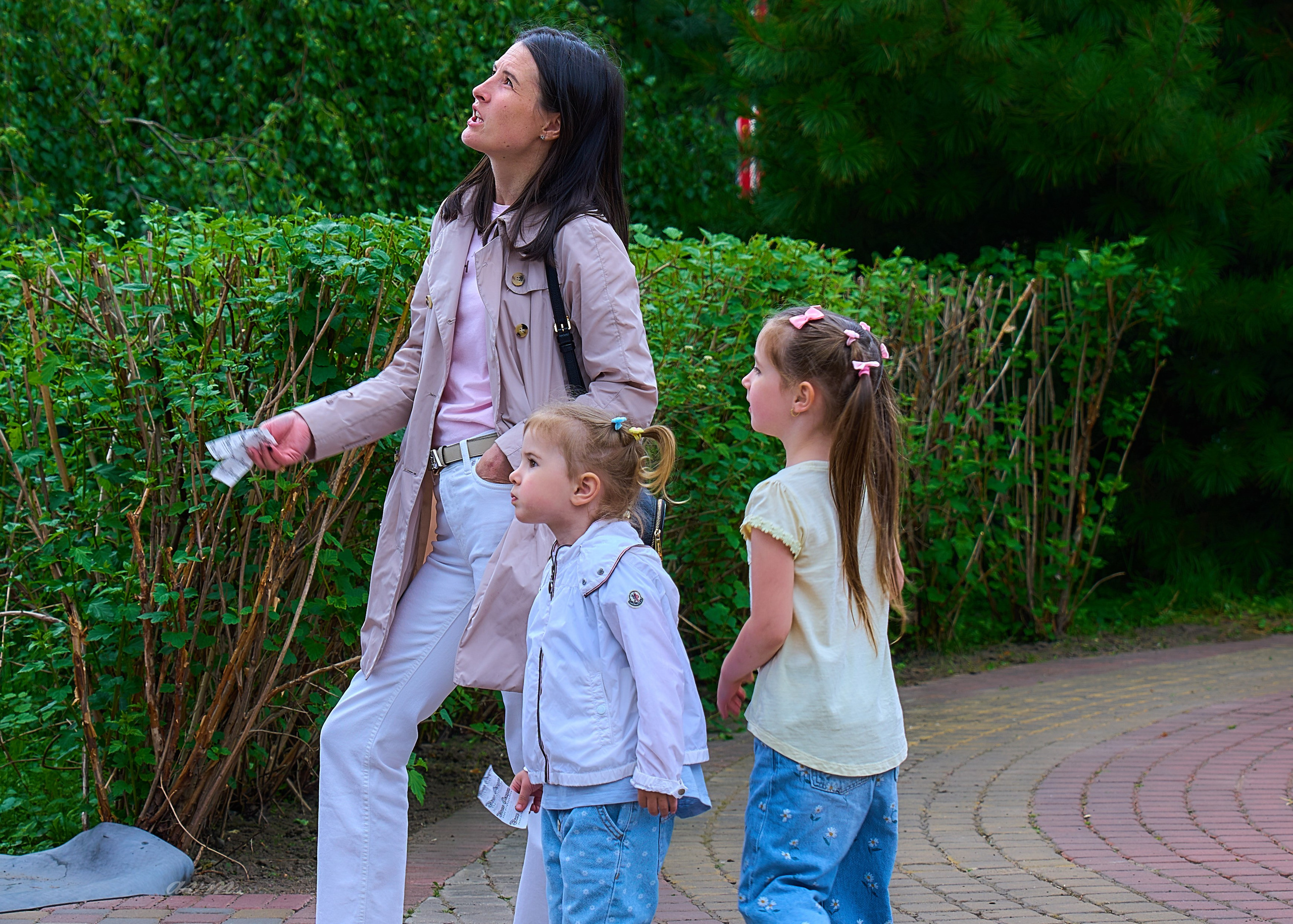 Прогулка по ЦПКиО июнь 2025. Фотограф Михеев Андрей