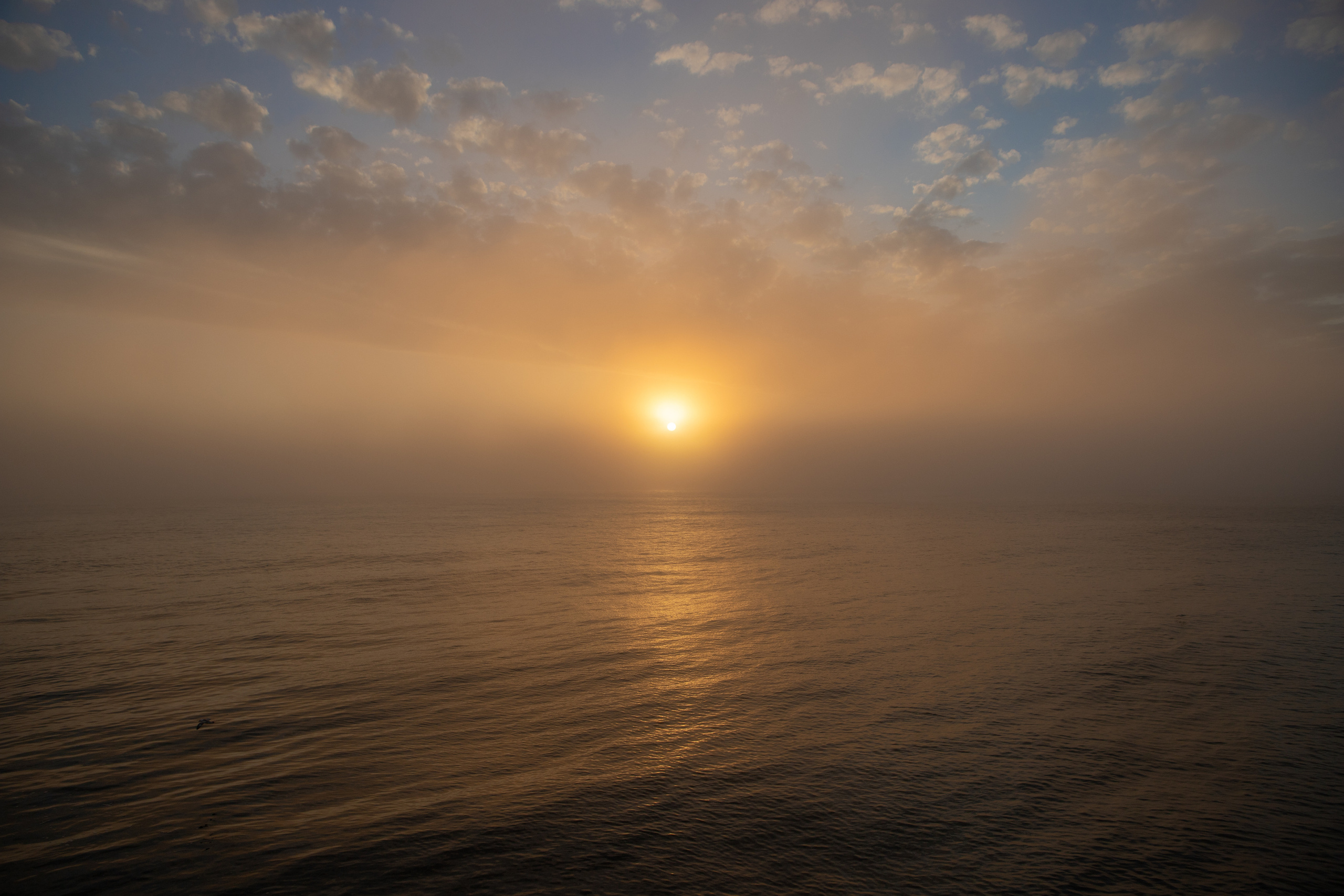 Репортаж из Тихого океана. Марк Шишкин — репортажный фотограф в Воронеже и России