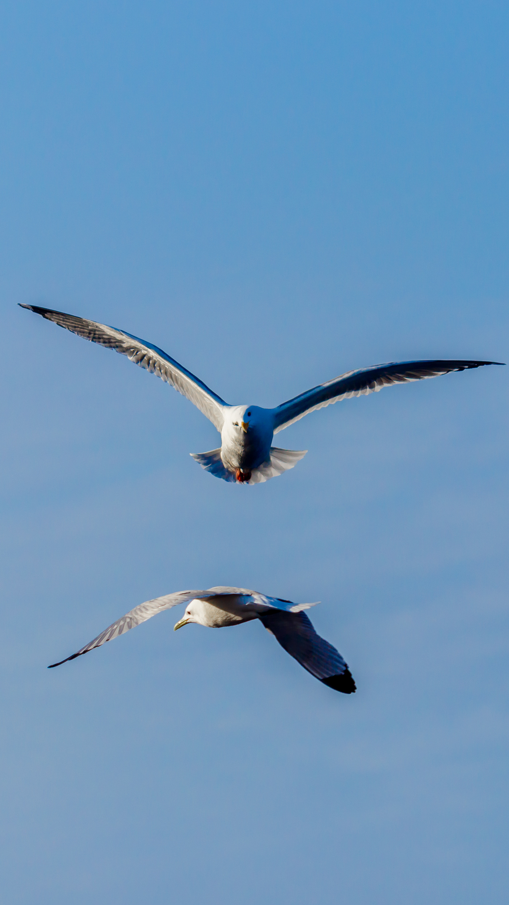 Репортаж из Тихого океана. Марк Шишкин — репортажный фотограф в Воронеже и России