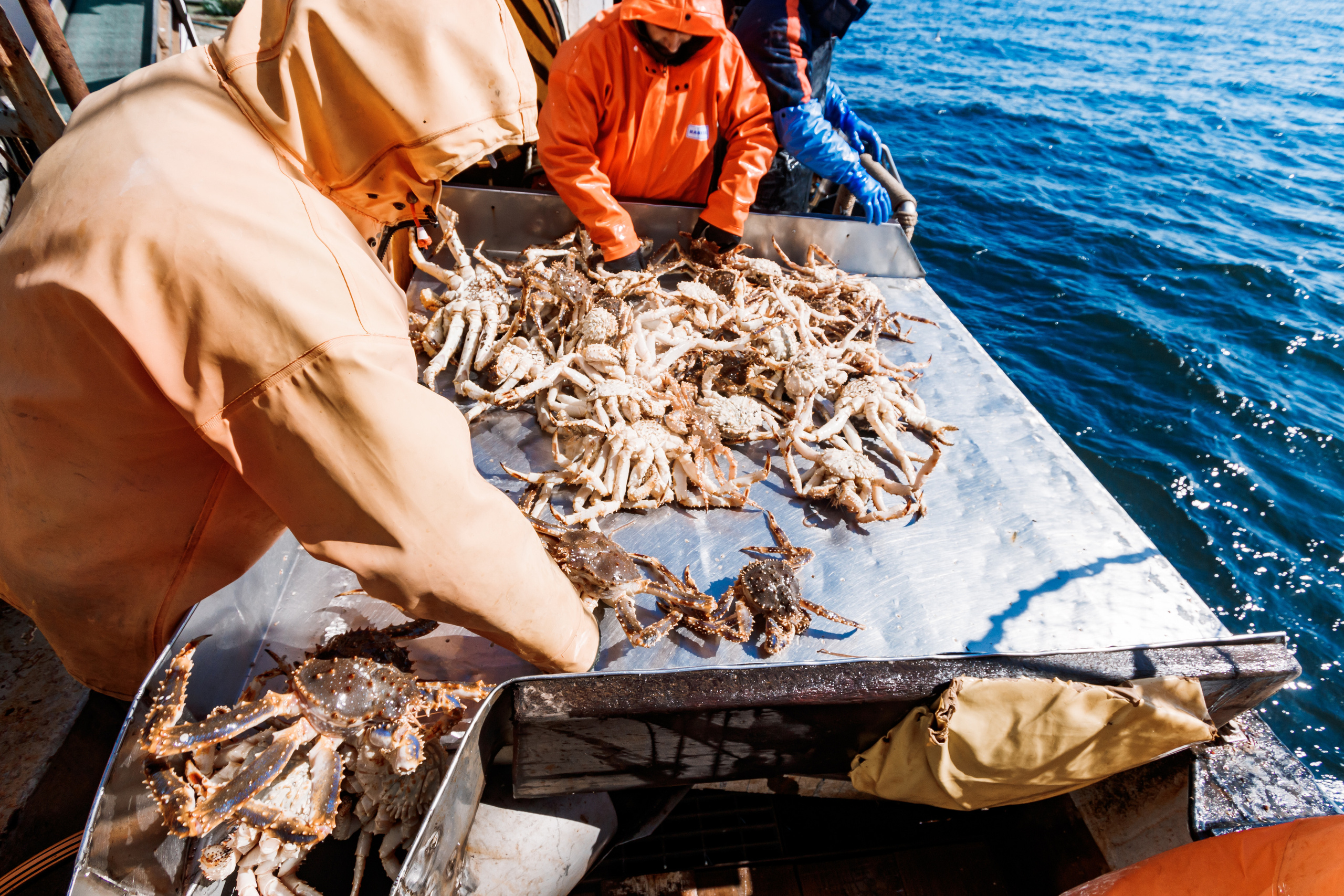 Репортаж из Тихого океана. Марк Шишкин — репортажный фотограф в Воронеже и России