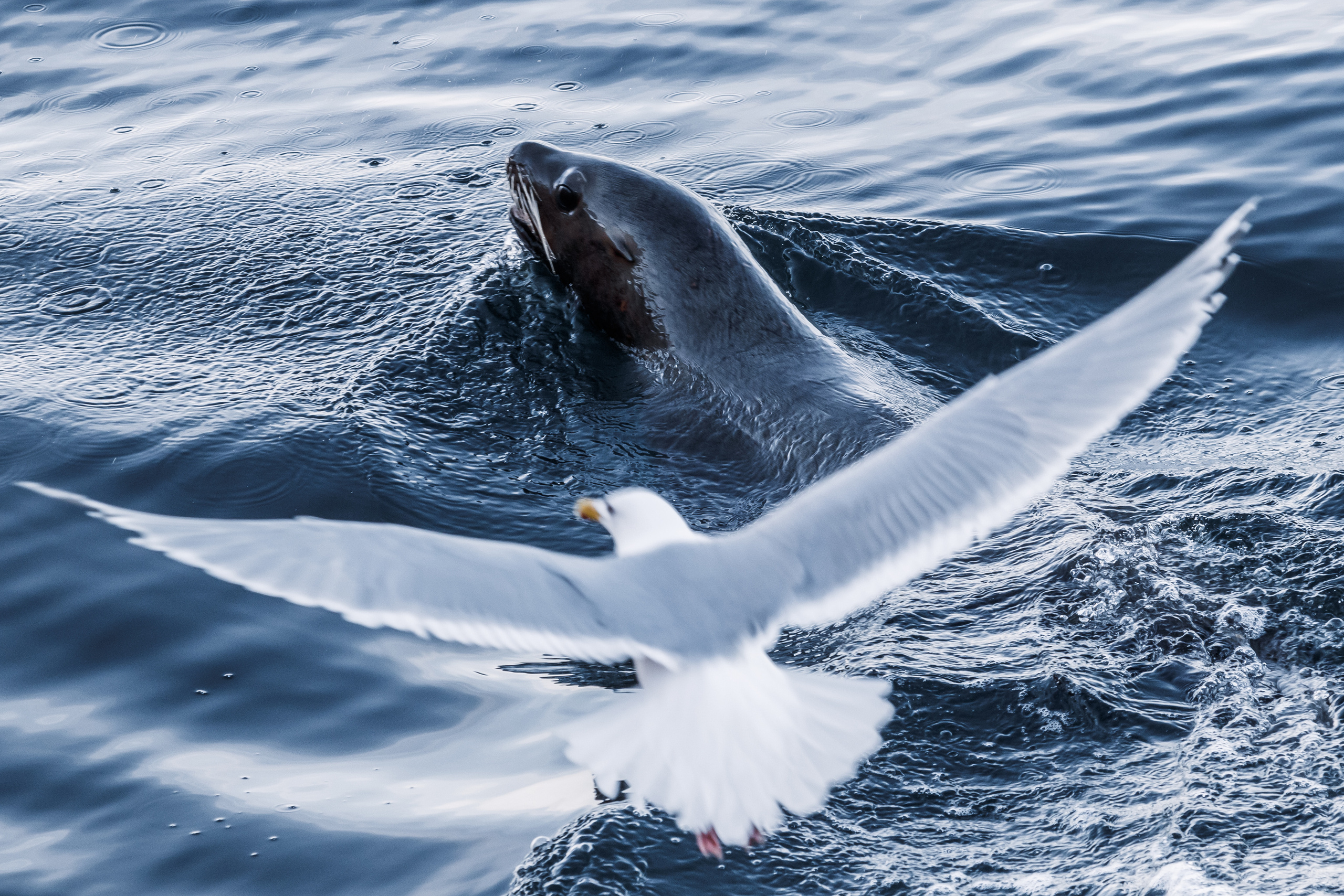 Репортаж из Тихого океана. Марк Шишкин — репортажный фотограф в Воронеже и России