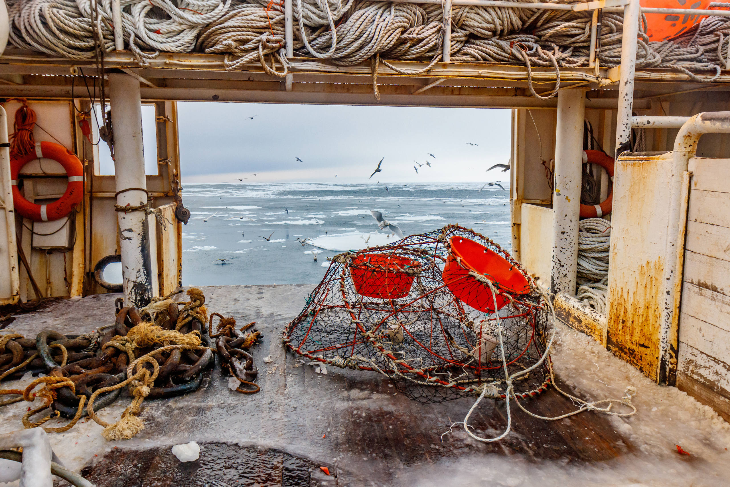 Репортаж в зимнем Беринговом море. Марк Шишкин — репортажный фотограф в Воронеже и России