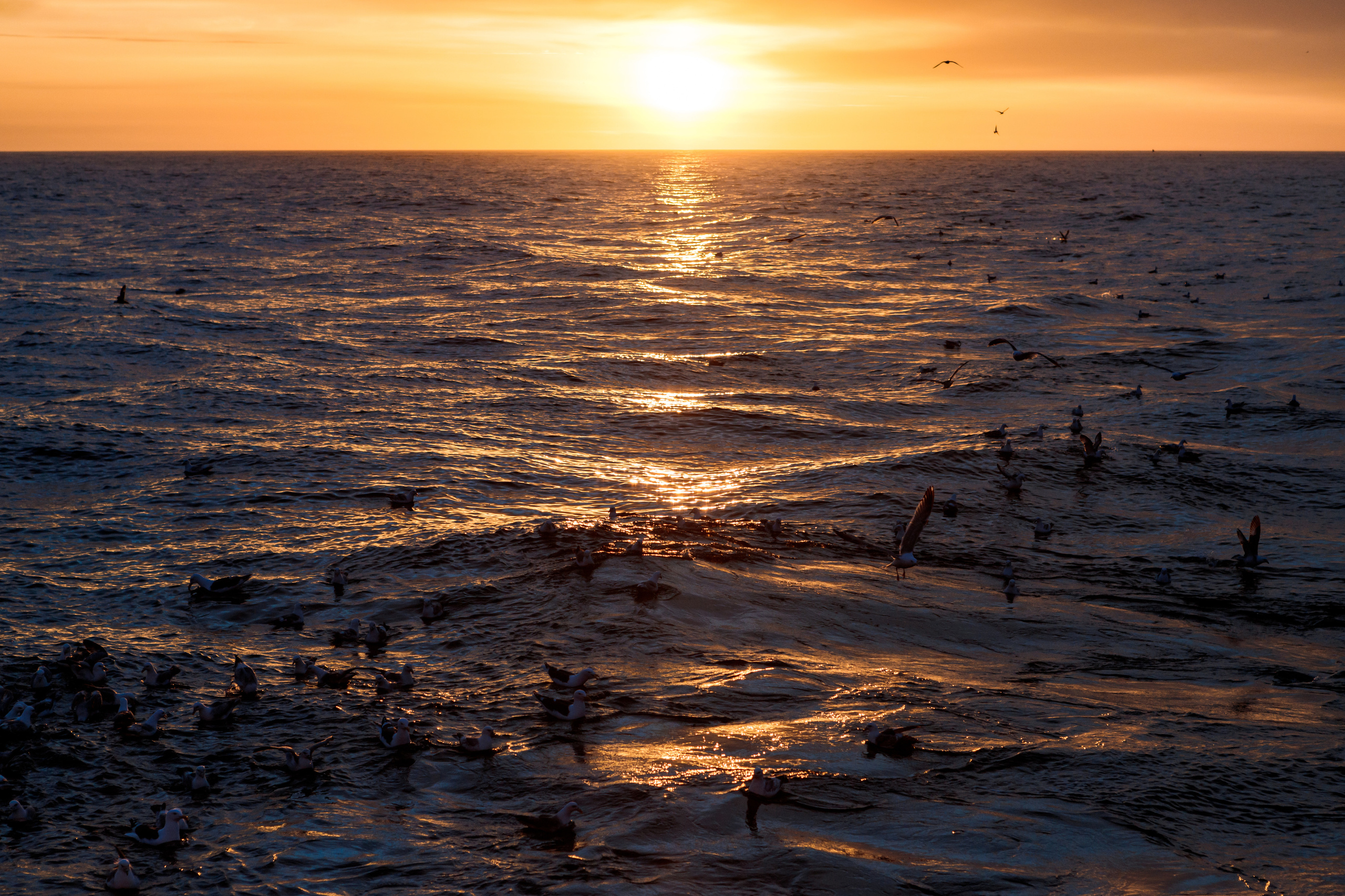 Репортаж из Тихого океана. Марк Шишкин — репортажный фотограф в Воронеже и России