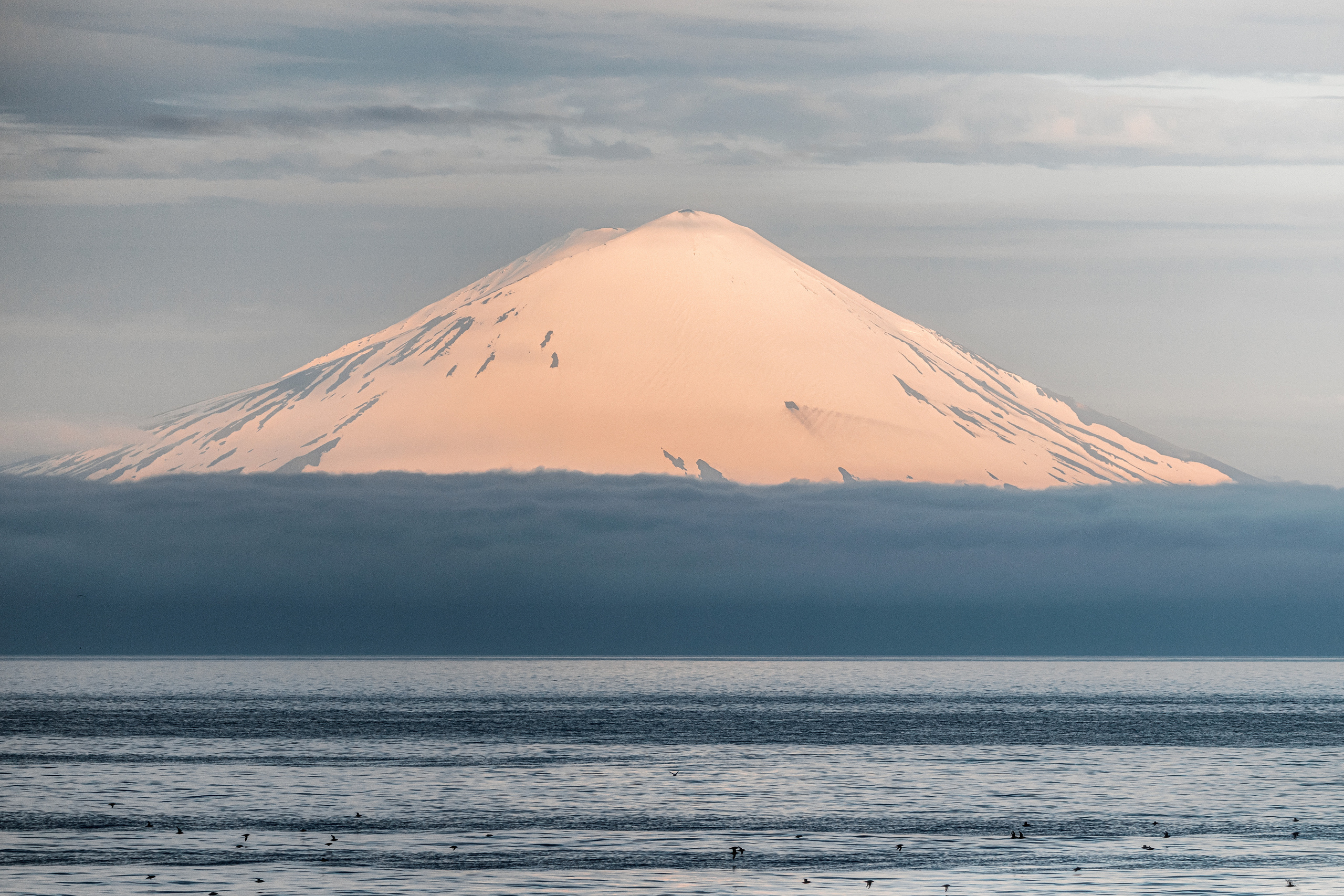 Репортаж из Тихого океана. Марк Шишкин — репортажный фотограф в Воронеже и России