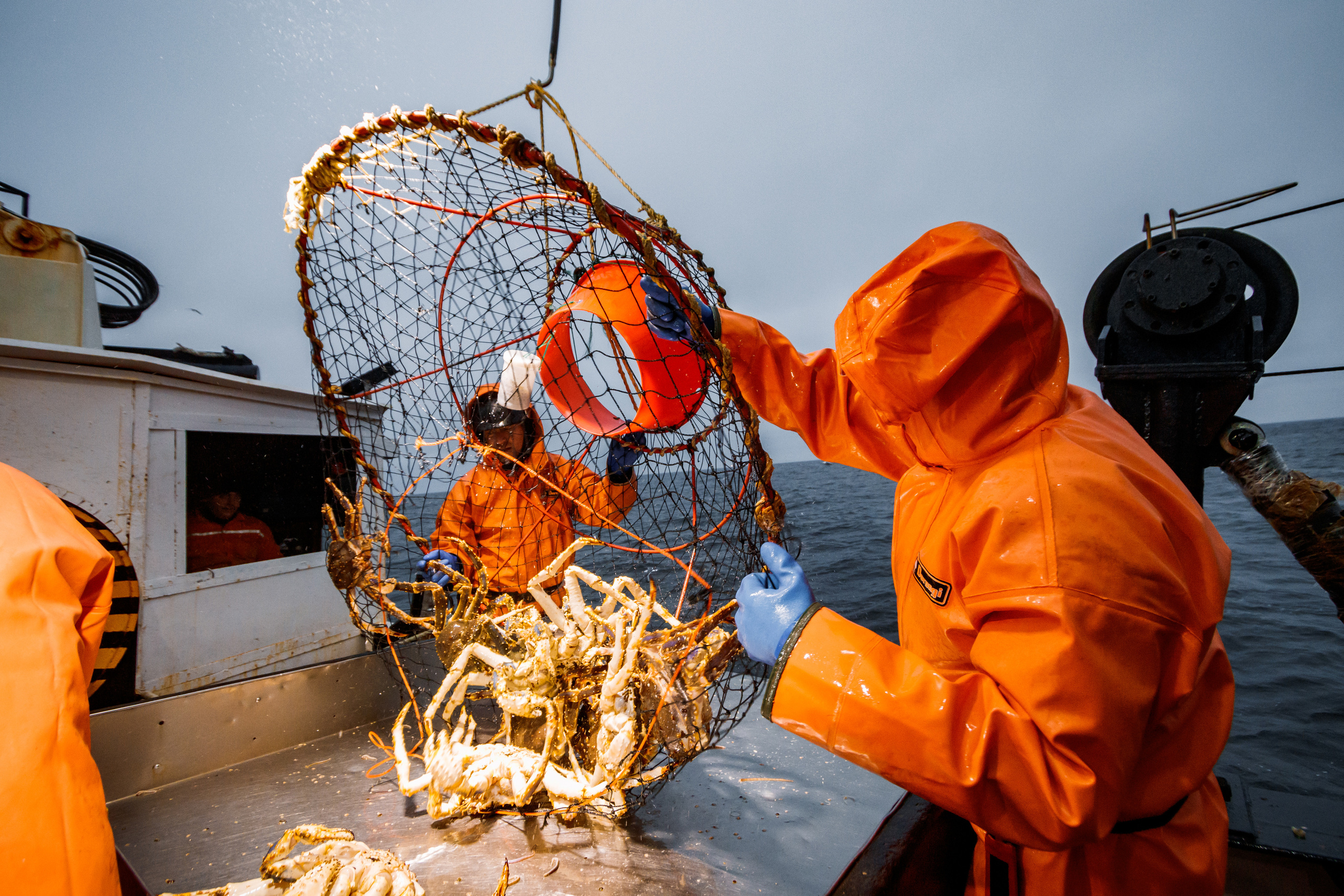 Репортаж из Тихого океана. Марк Шишкин — репортажный фотограф в Воронеже и России