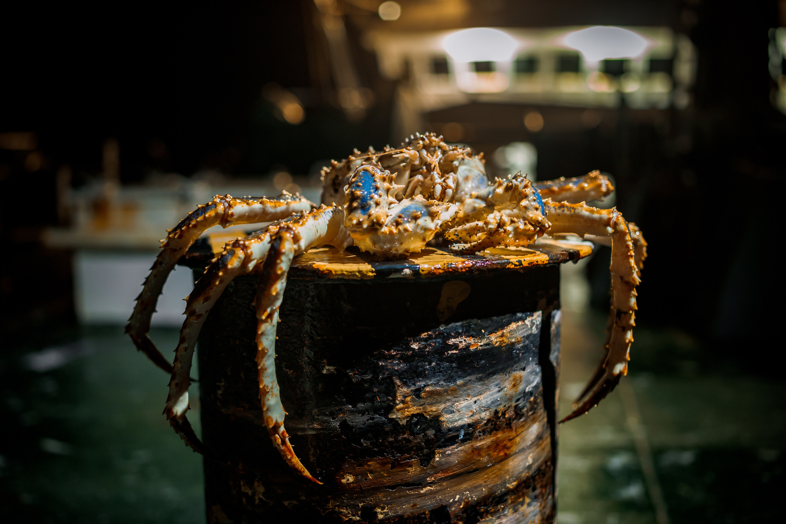 Репортаж из Тихого океана. Марк Шишкин — репортажный фотограф в Воронеже и России