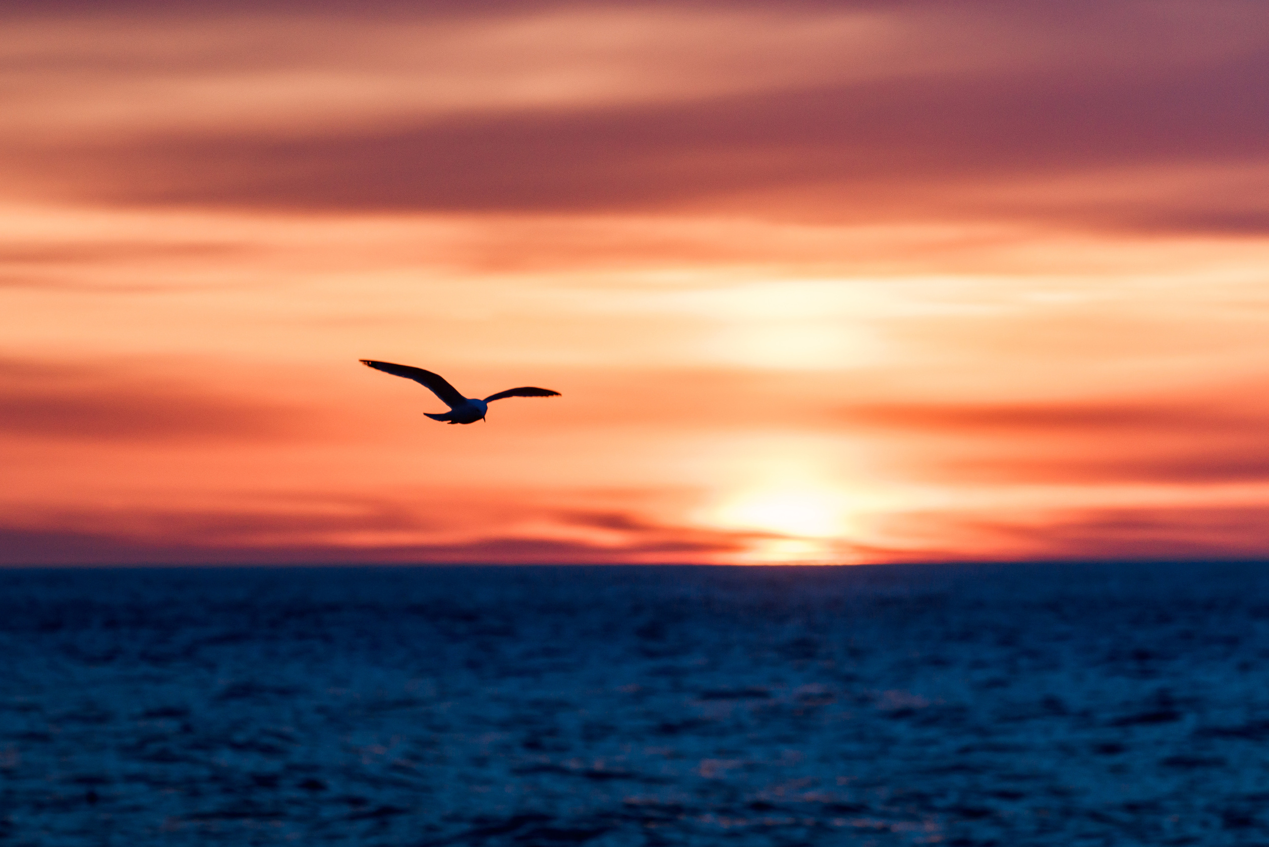 Репортаж из Тихого океана. Марк Шишкин — репортажный фотограф в Воронеже и России