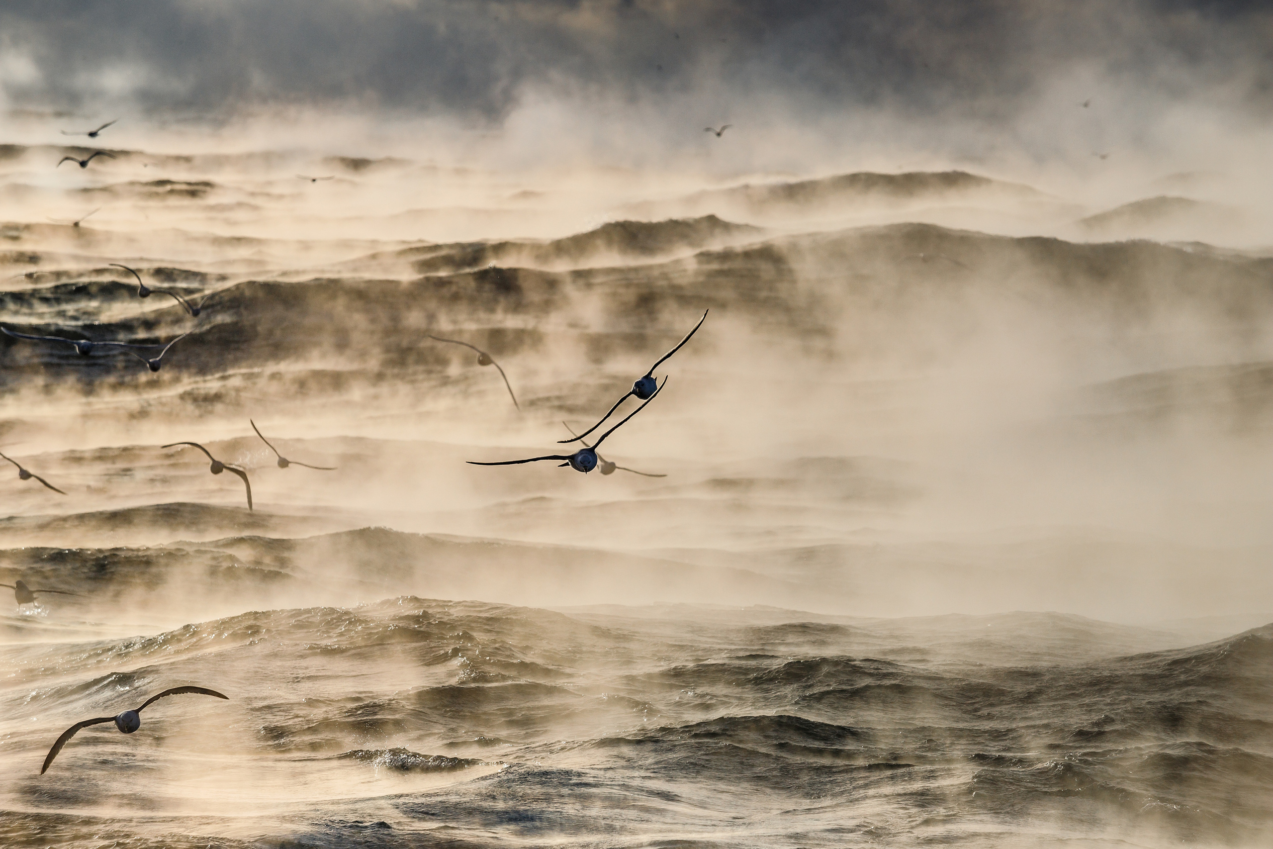Репортаж в зимнем Беринговом море. Марк Шишкин — репортажный фотограф в Воронеже и России