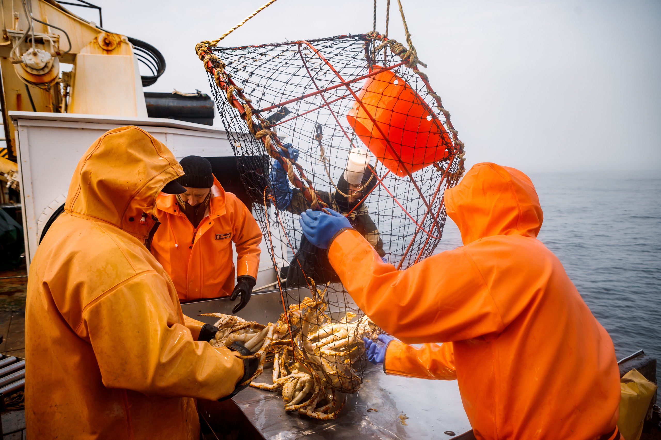 Репортаж из Тихого океана. Марк Шишкин — репортажный фотограф в Воронеже и России