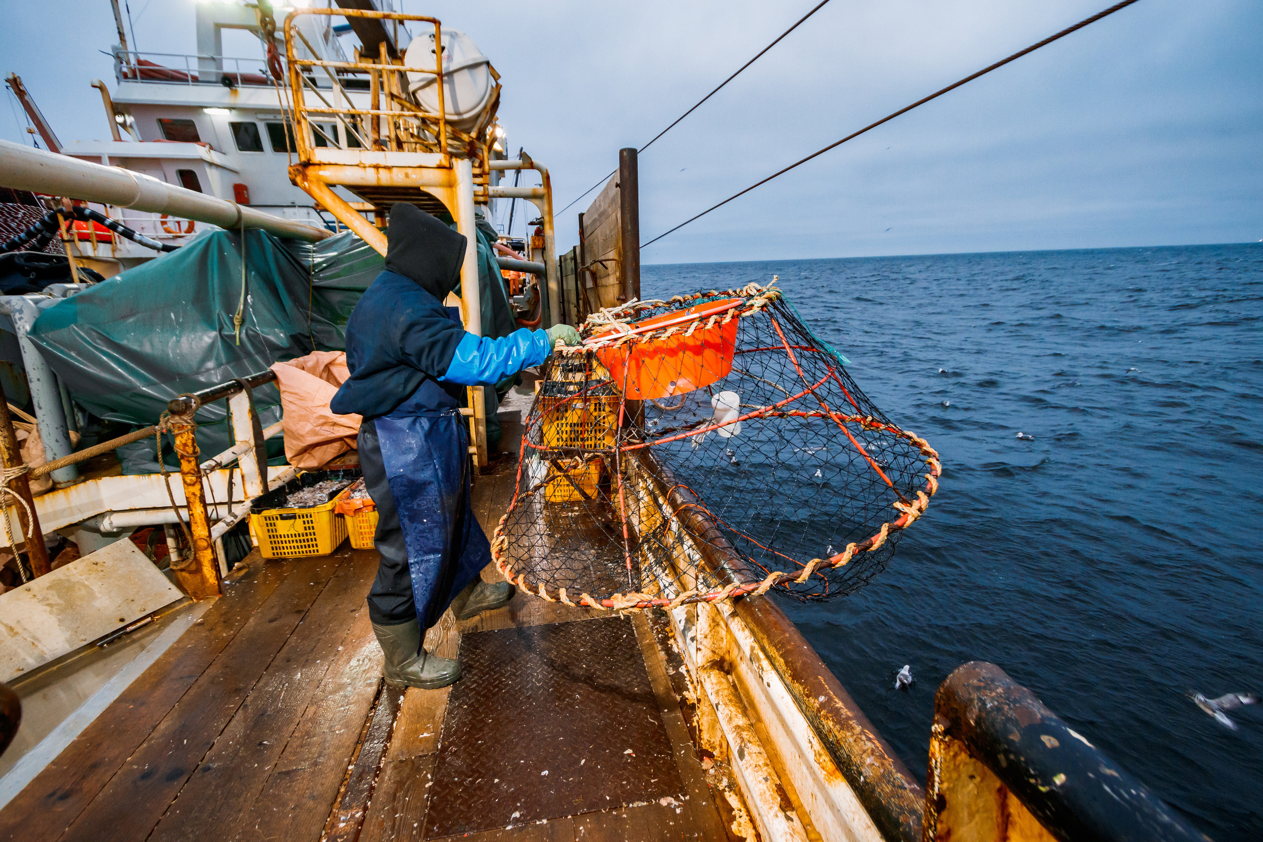 Репортаж из Тихого океана. Марк Шишкин — репортажный фотограф в Воронеже и России