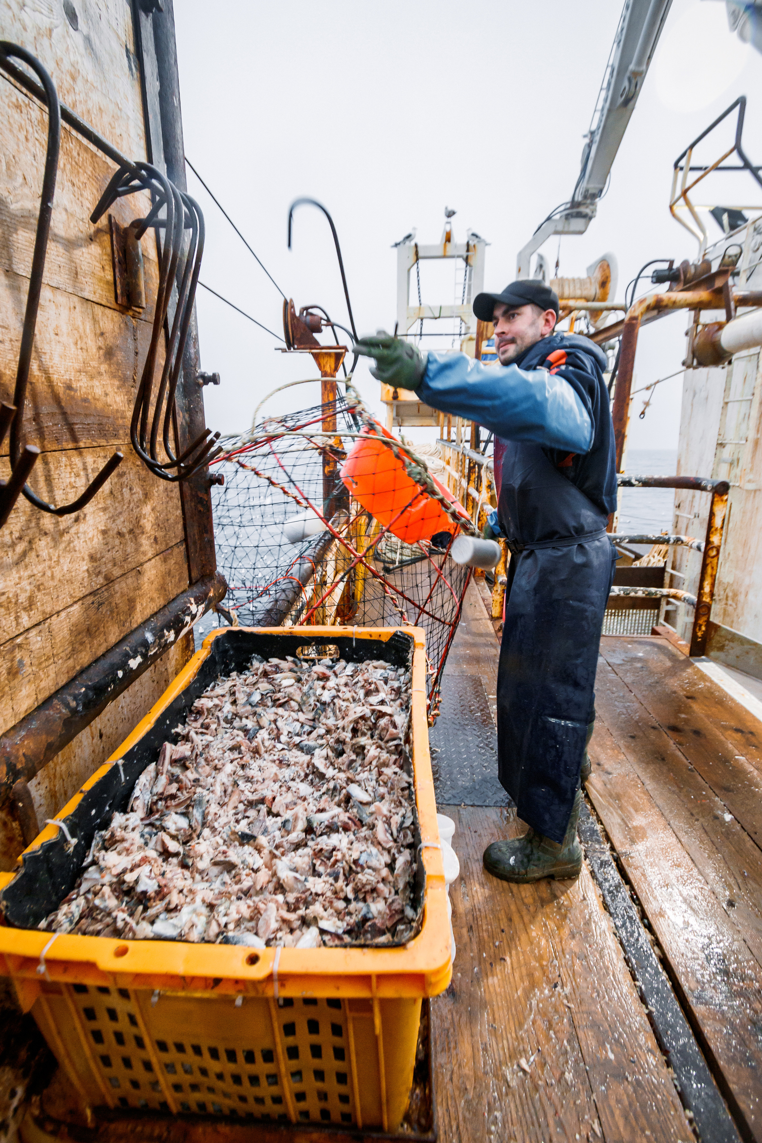 Репортаж из Тихого океана. Марк Шишкин — репортажный фотограф в Воронеже и России