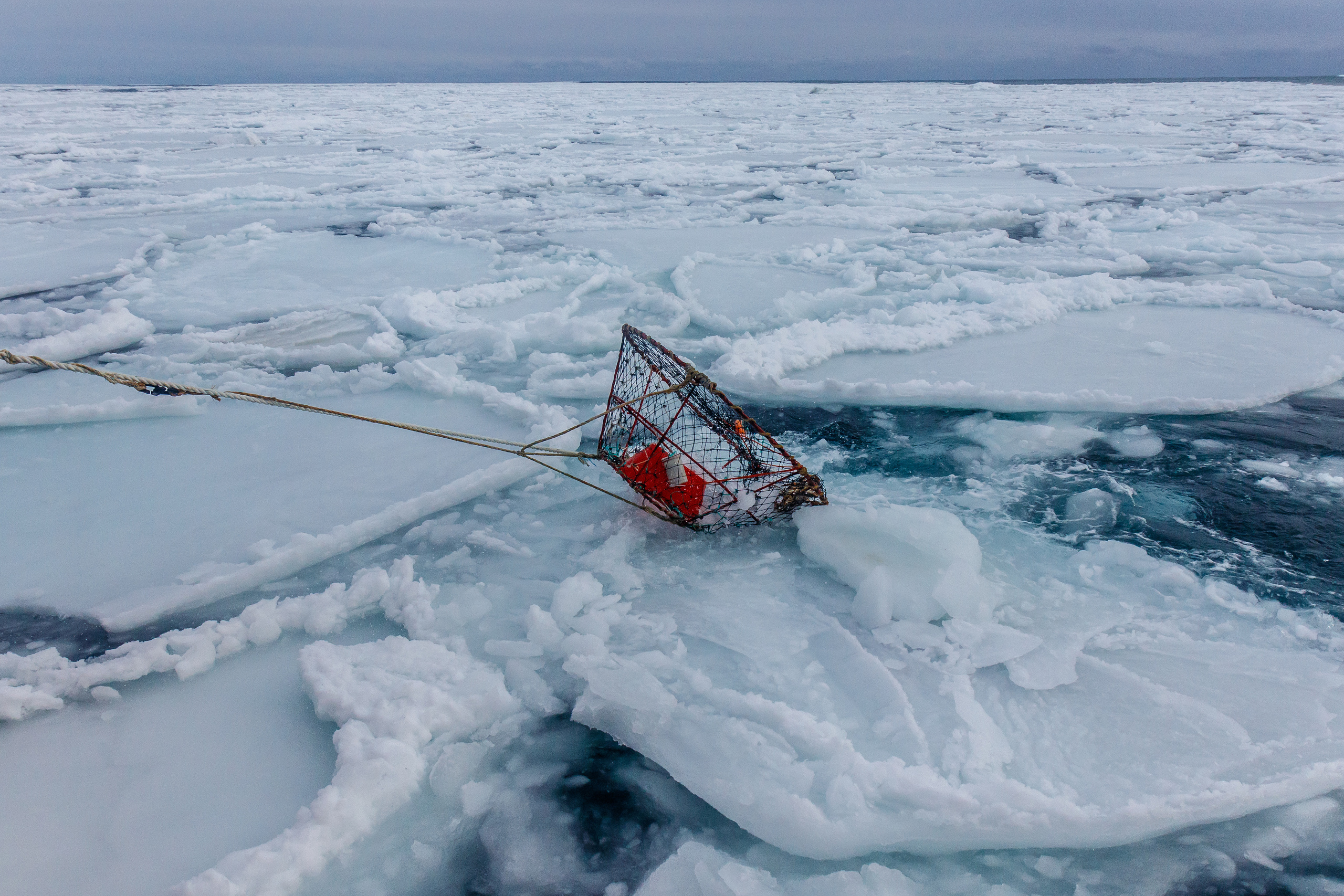 Репортаж в зимнем Беринговом море. Марк Шишкин — репортажный фотограф в Воронеже и России