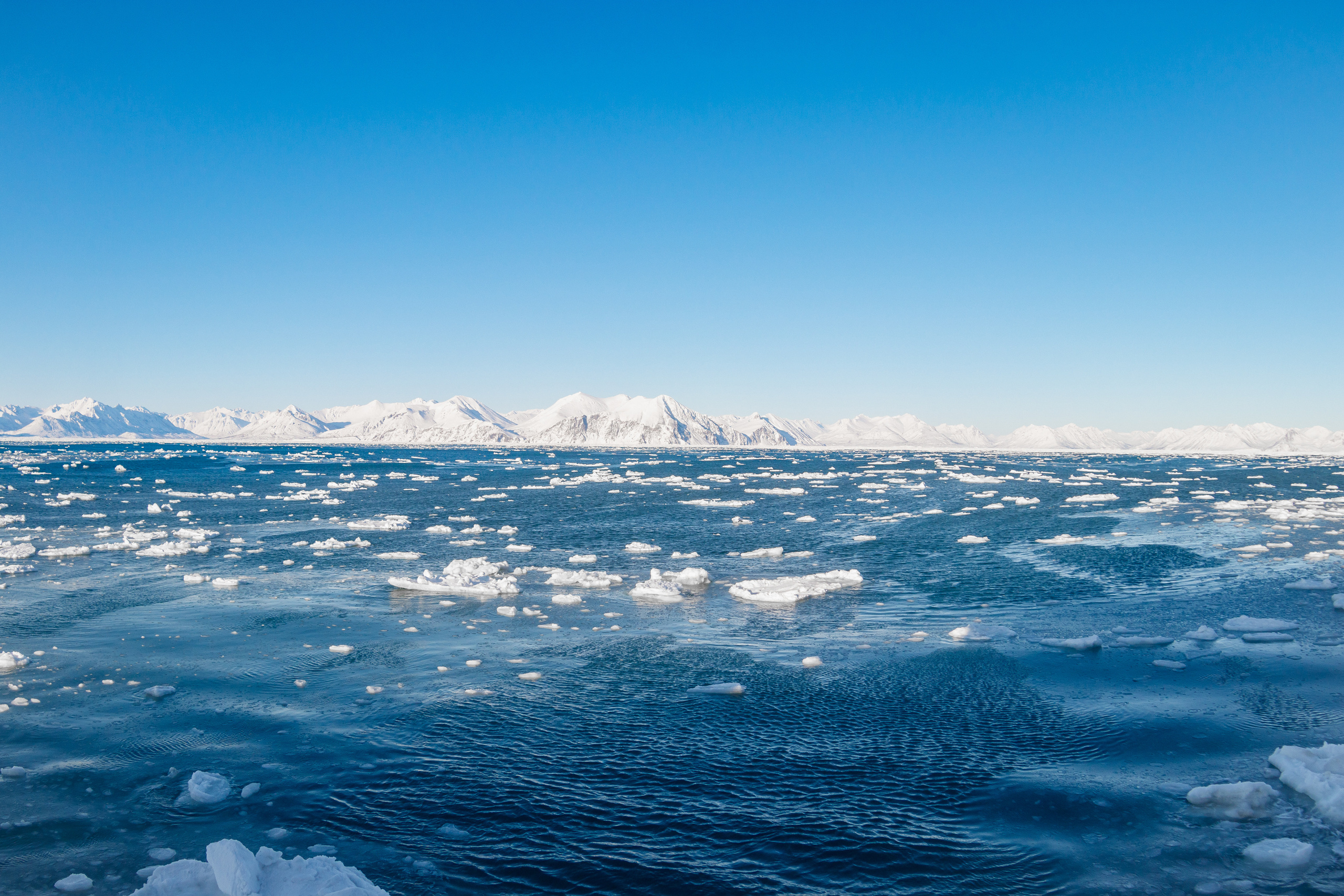 Репортаж в зимнем Беринговом море. Марк Шишкин — репортажный фотограф в Воронеже и России