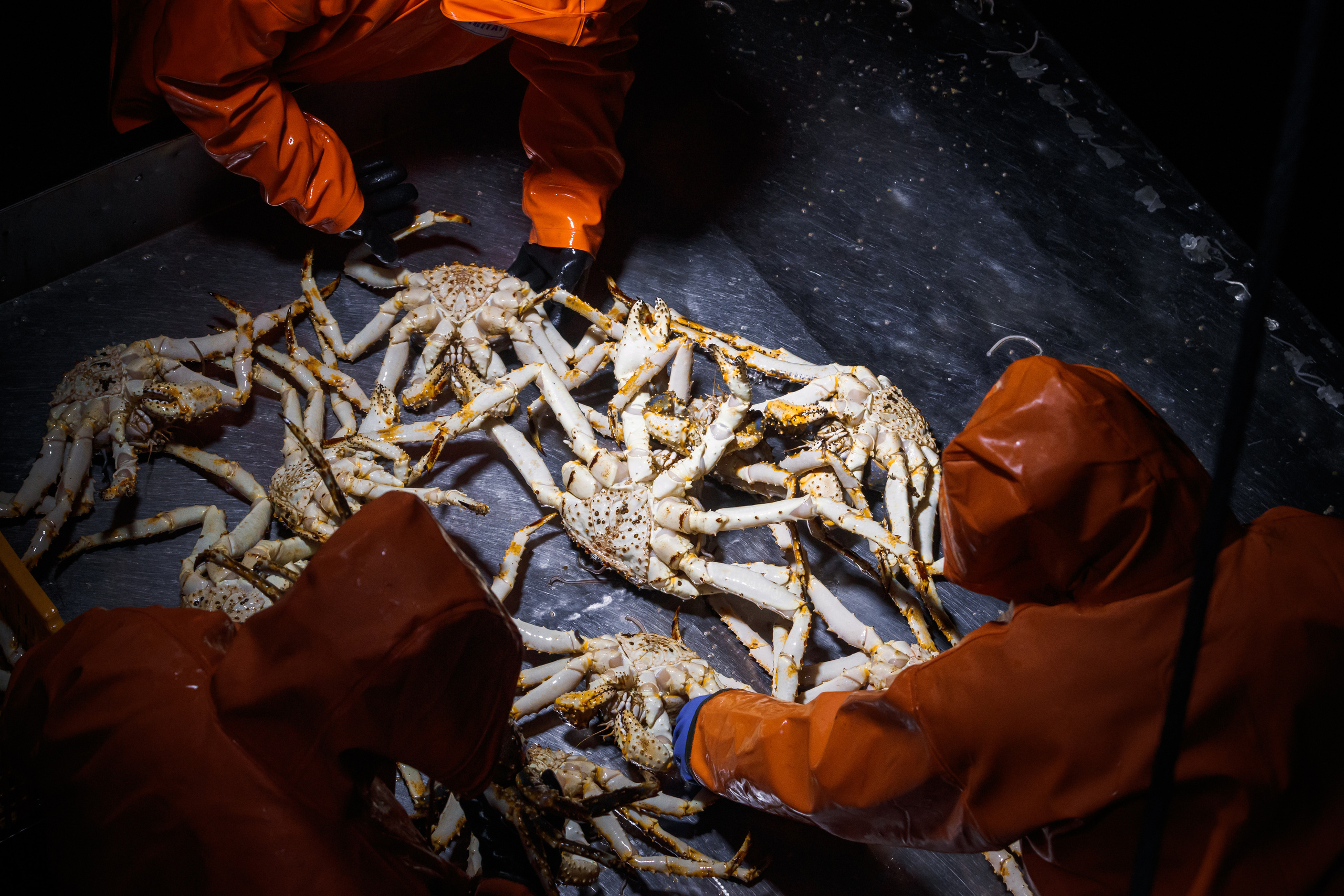 Репортаж из Тихого океана. Марк Шишкин — репортажный фотограф в Воронеже и России