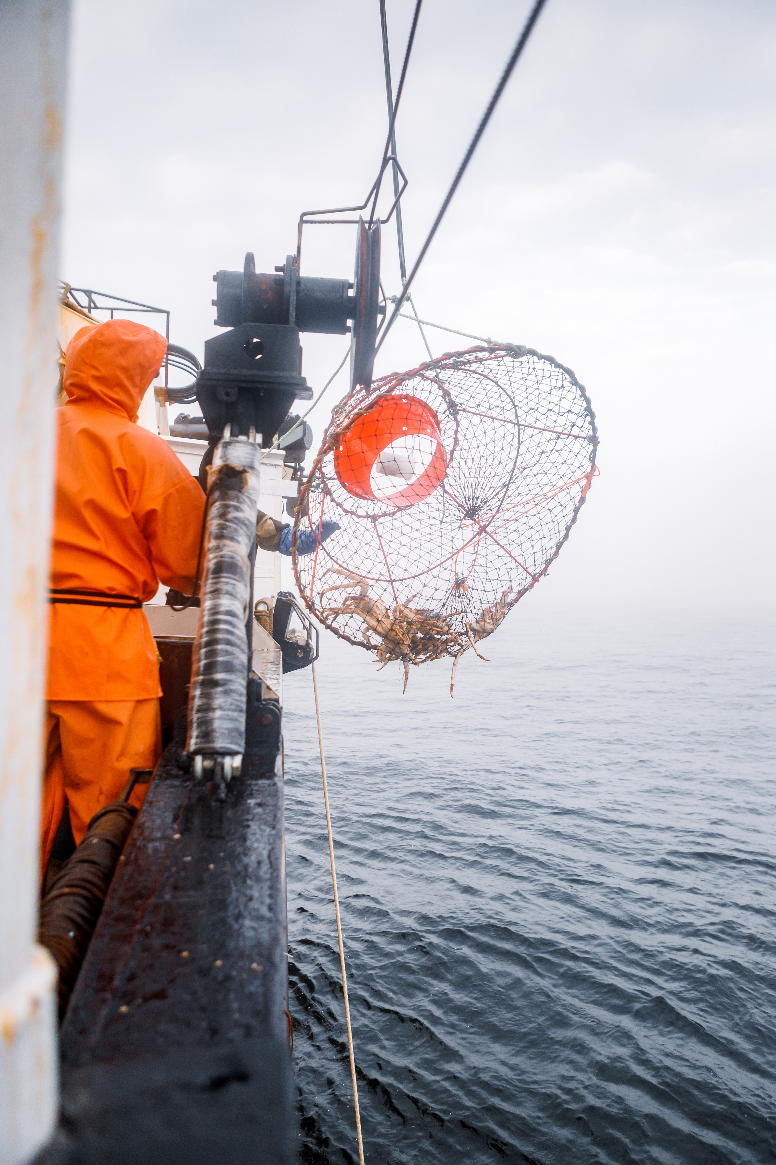 Репортаж из Тихого океана. Марк Шишкин — репортажный фотограф в Воронеже и России