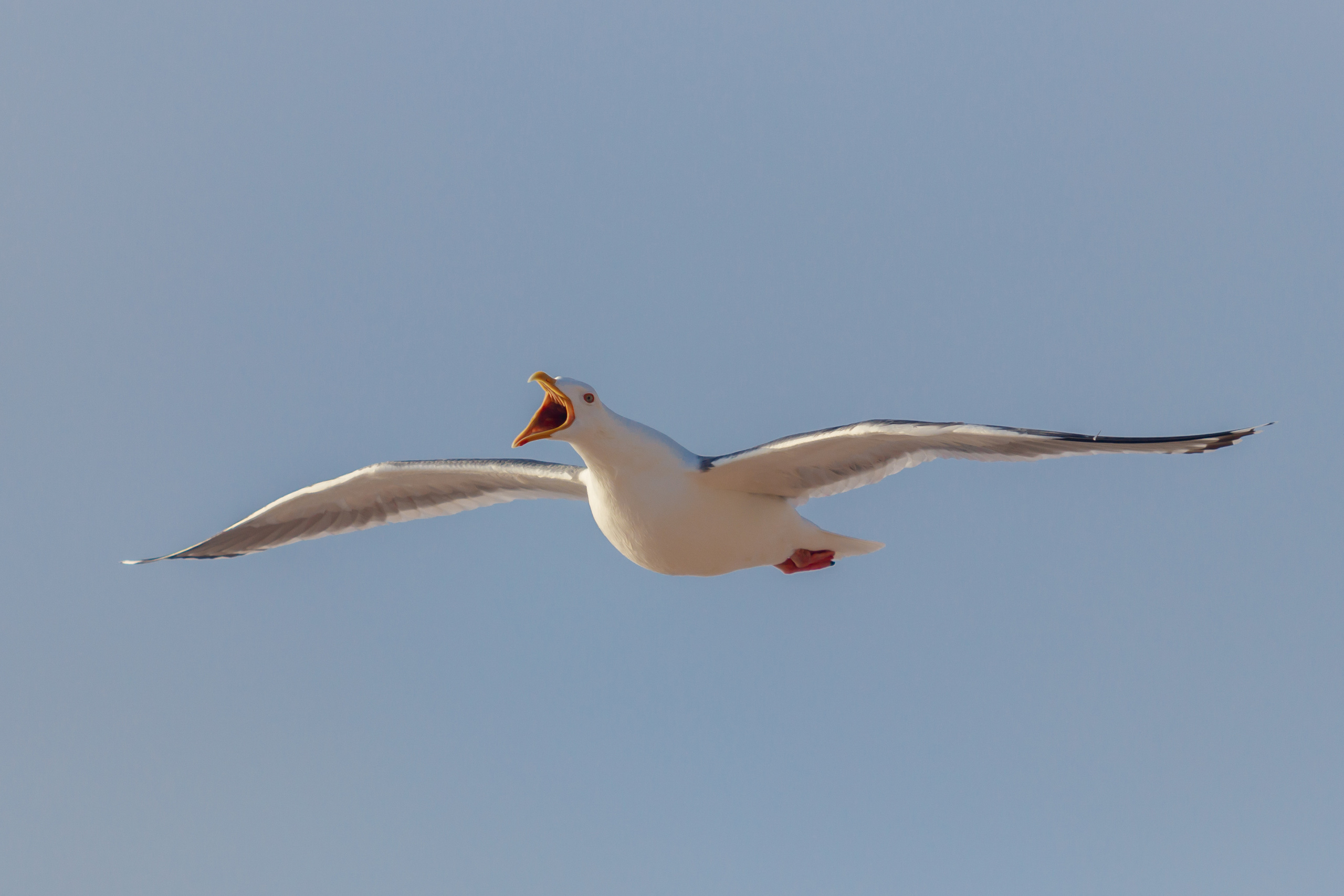 Репортаж из Тихого океана. Марк Шишкин — репортажный фотограф в Воронеже и России