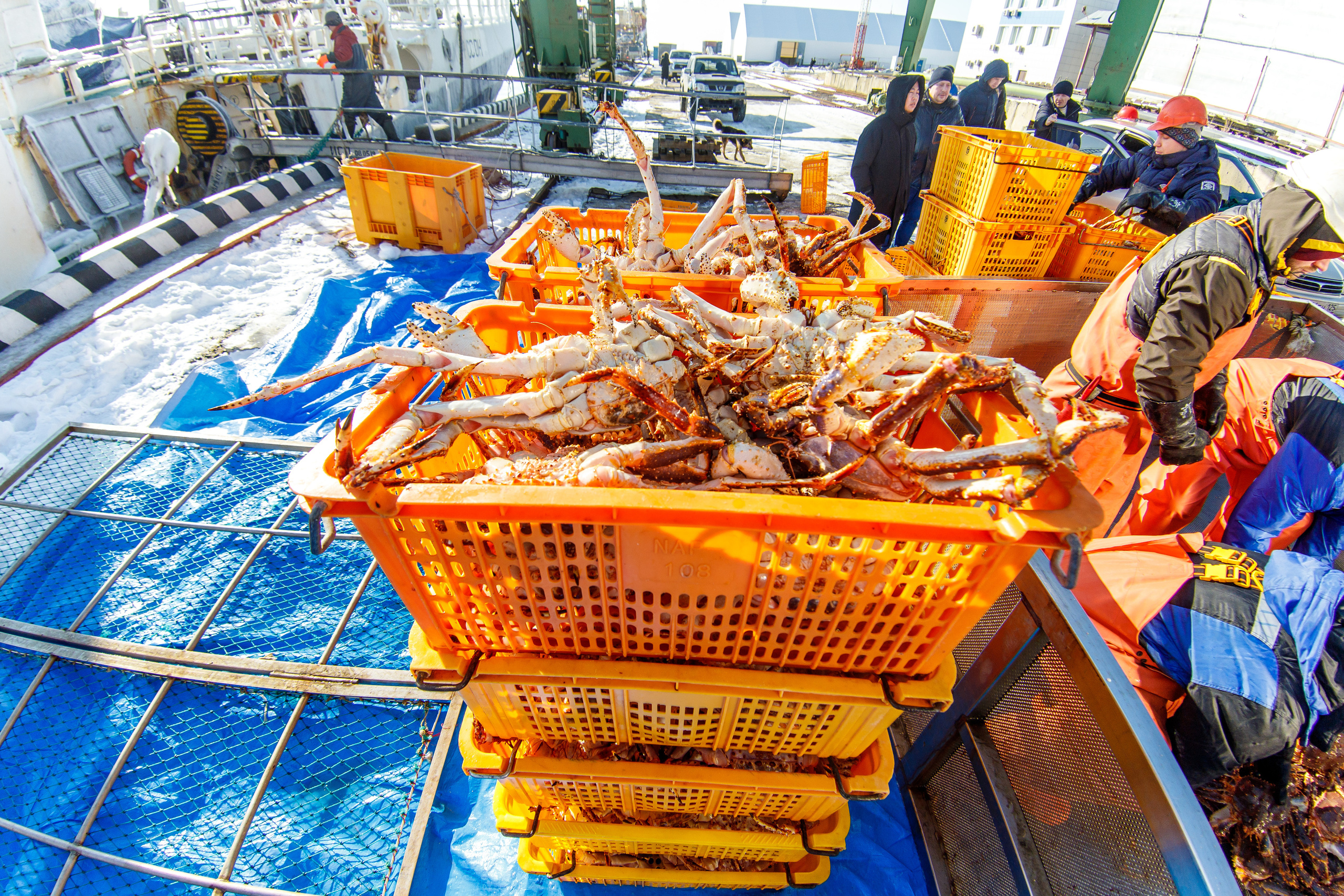 Репортаж в зимнем Беринговом море. Марк Шишкин — репортажный фотограф в Воронеже и России