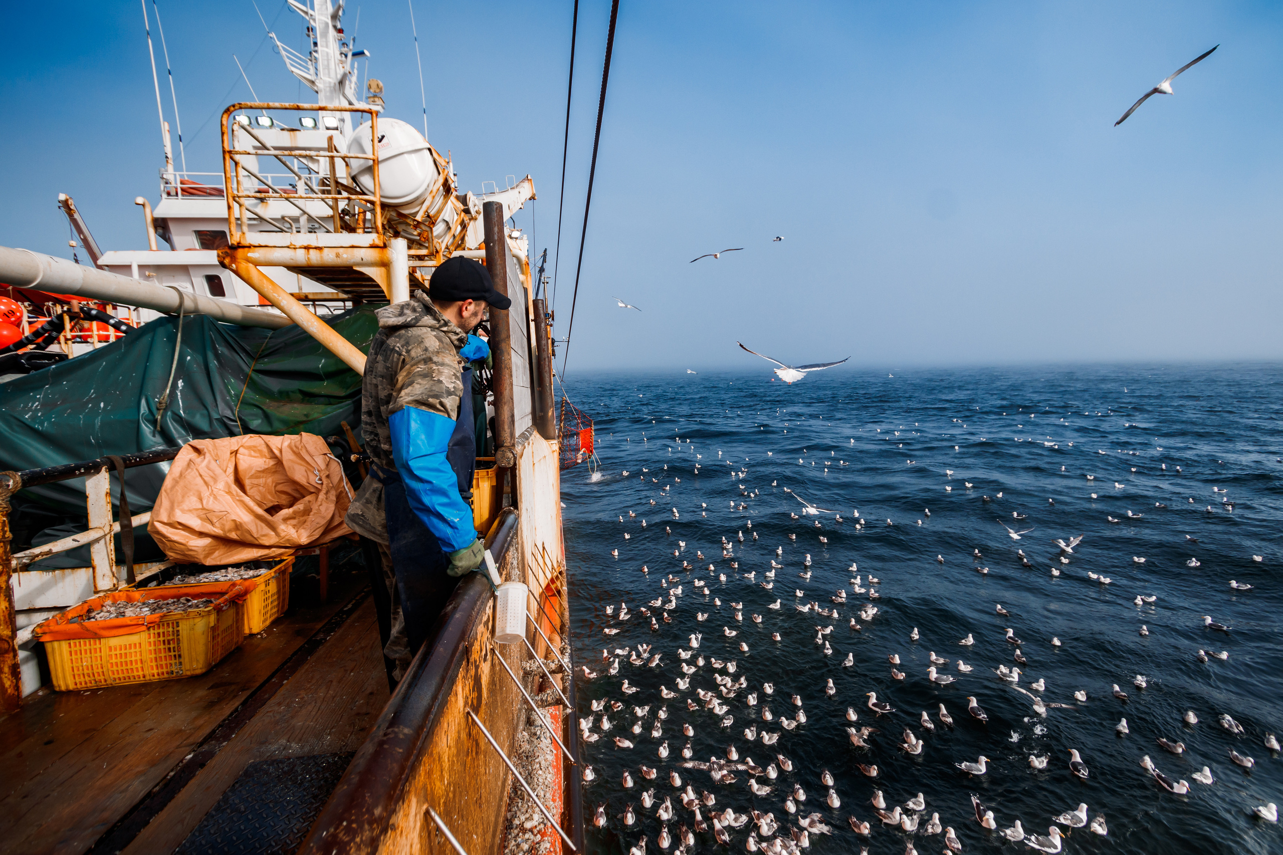Репортаж из Тихого океана. Марк Шишкин — репортажный фотограф в Воронеже и России