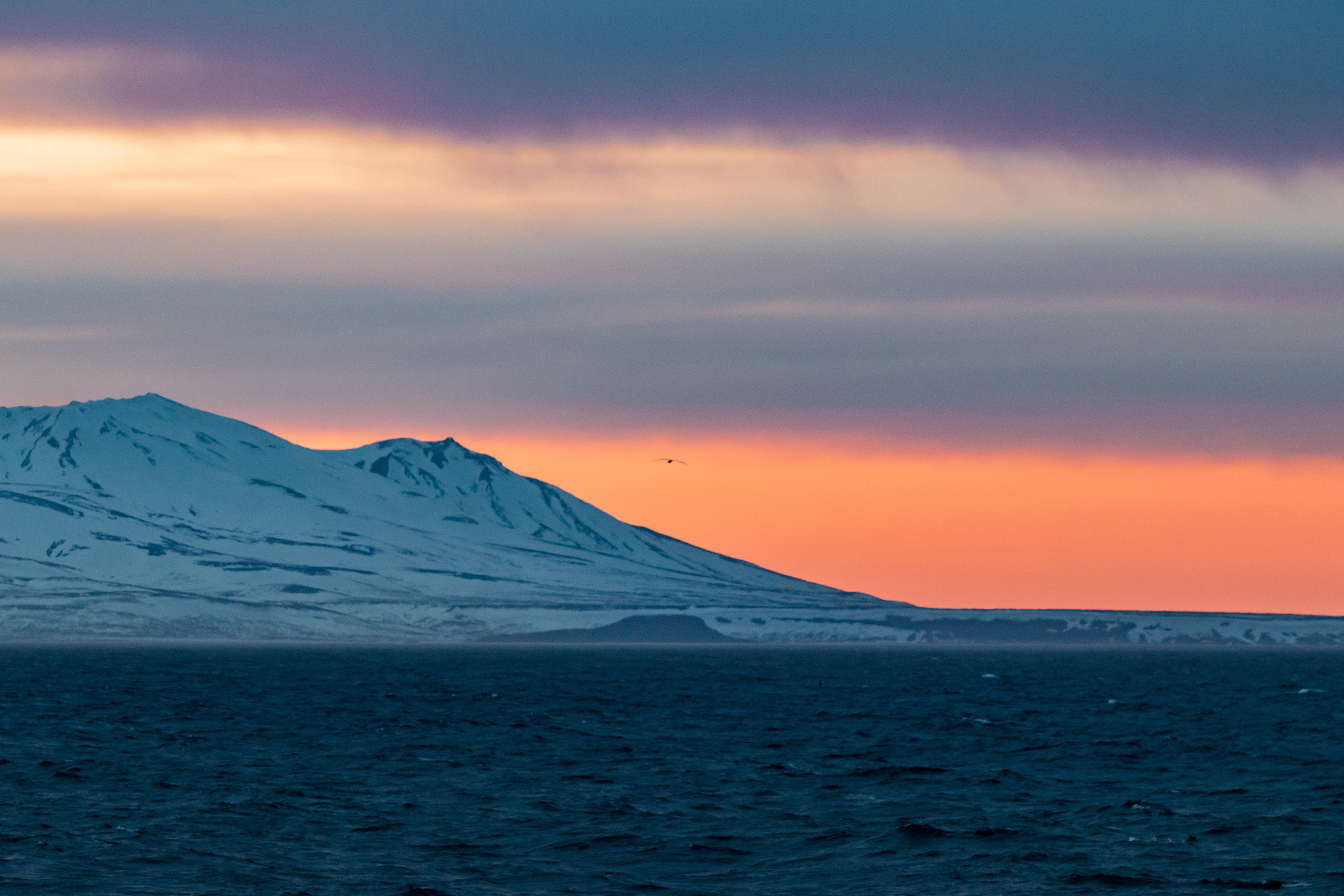 Репортаж из Тихого океана. Марк Шишкин — репортажный фотограф в Воронеже и России